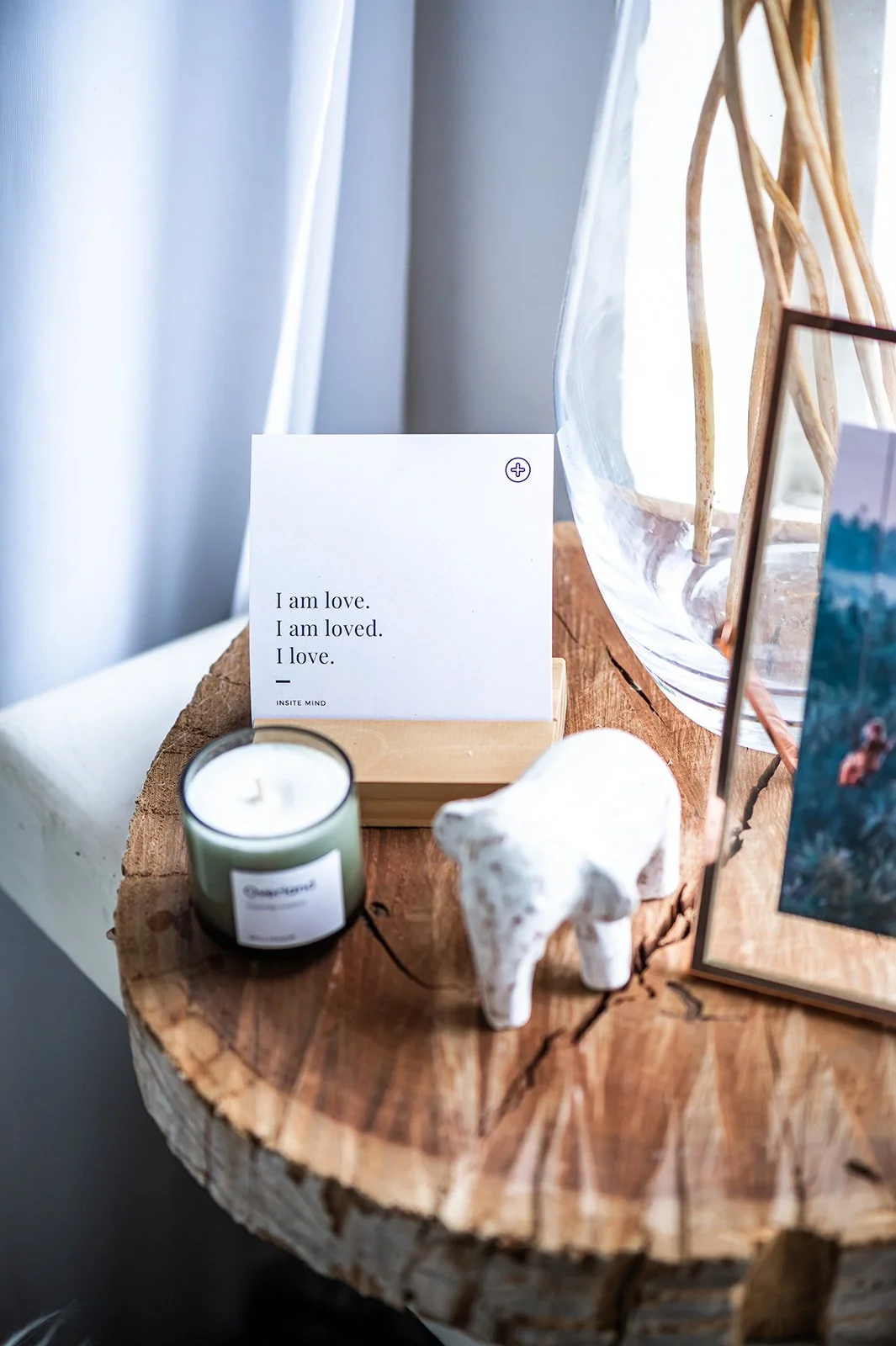 TS PHOTO-4981_websize.jpg