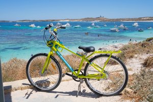 The Best of Rotto Combo - Local Experience Package - Rottnest Fast Ferries