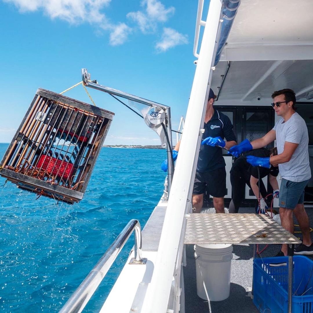 Rottnest Cruises (27)-min.jpg