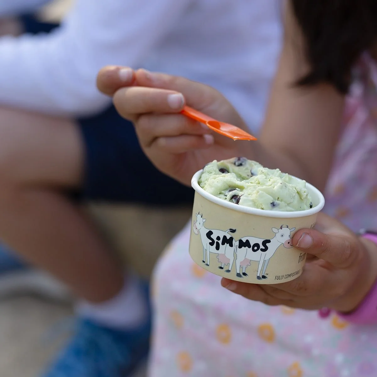 The Best of Rotto Combo - Local Experience Package - Rottnest Fast Ferries