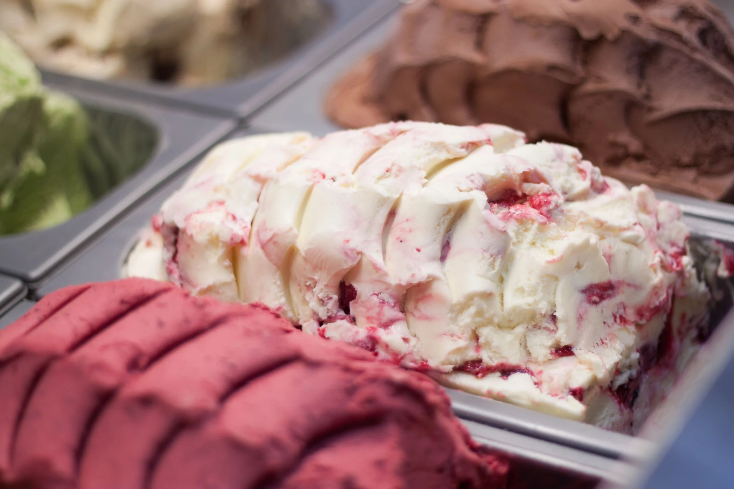 The Best of Rotto Combo - Local Experience Package - Rottnest Fast Ferries