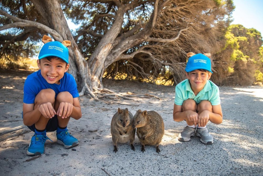 Guide to Spotting Wildlife and Marine Species on Rottnest Island ...