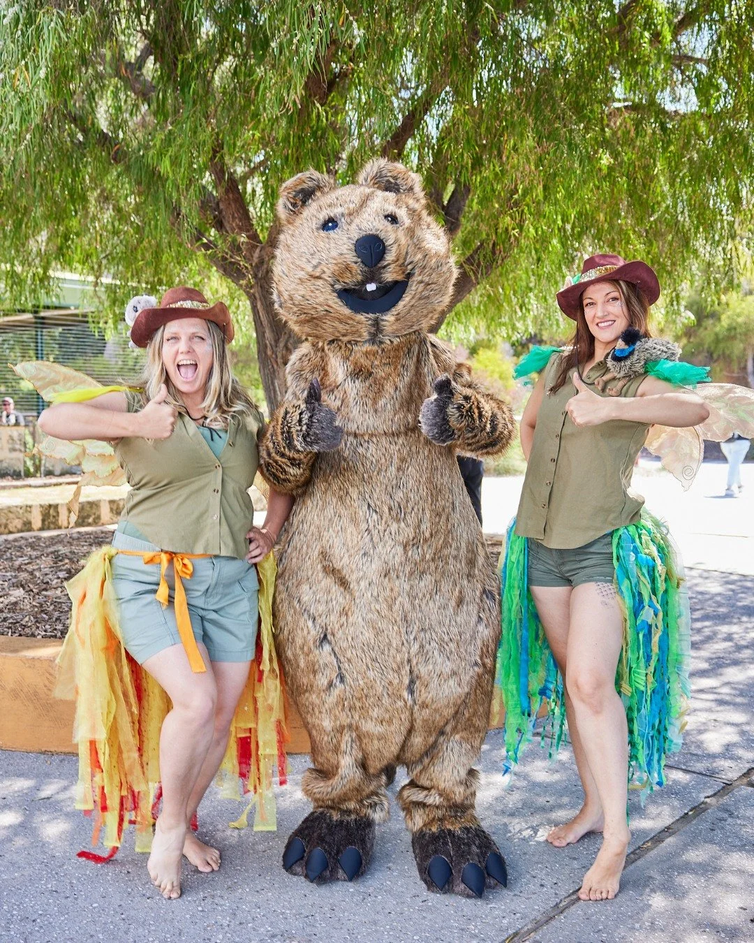 quokka party.jpg
