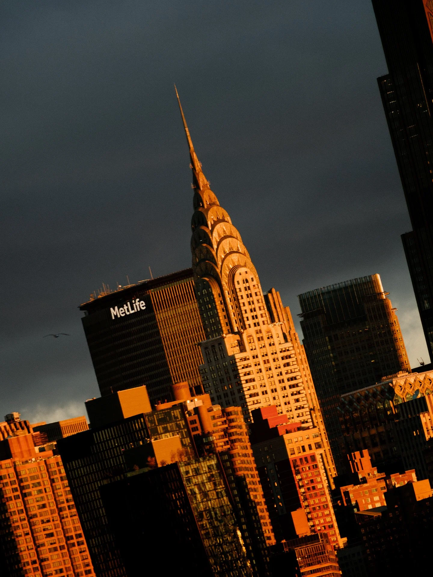 nyc-city-life-5.JPG