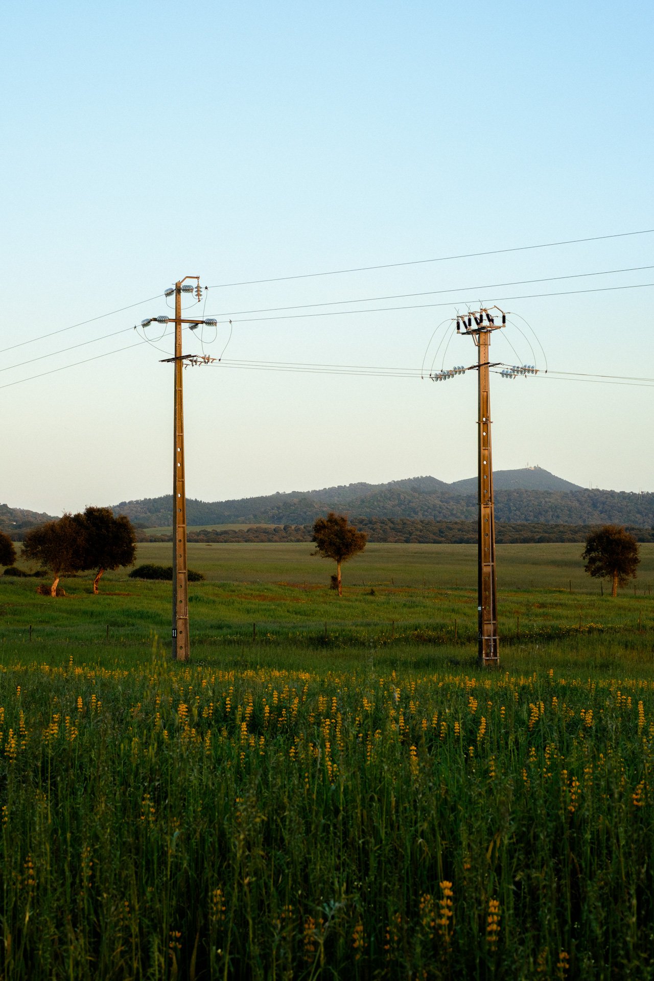 @jeffreyvonkphotos - 2026 - WEBSITE-39.JPG