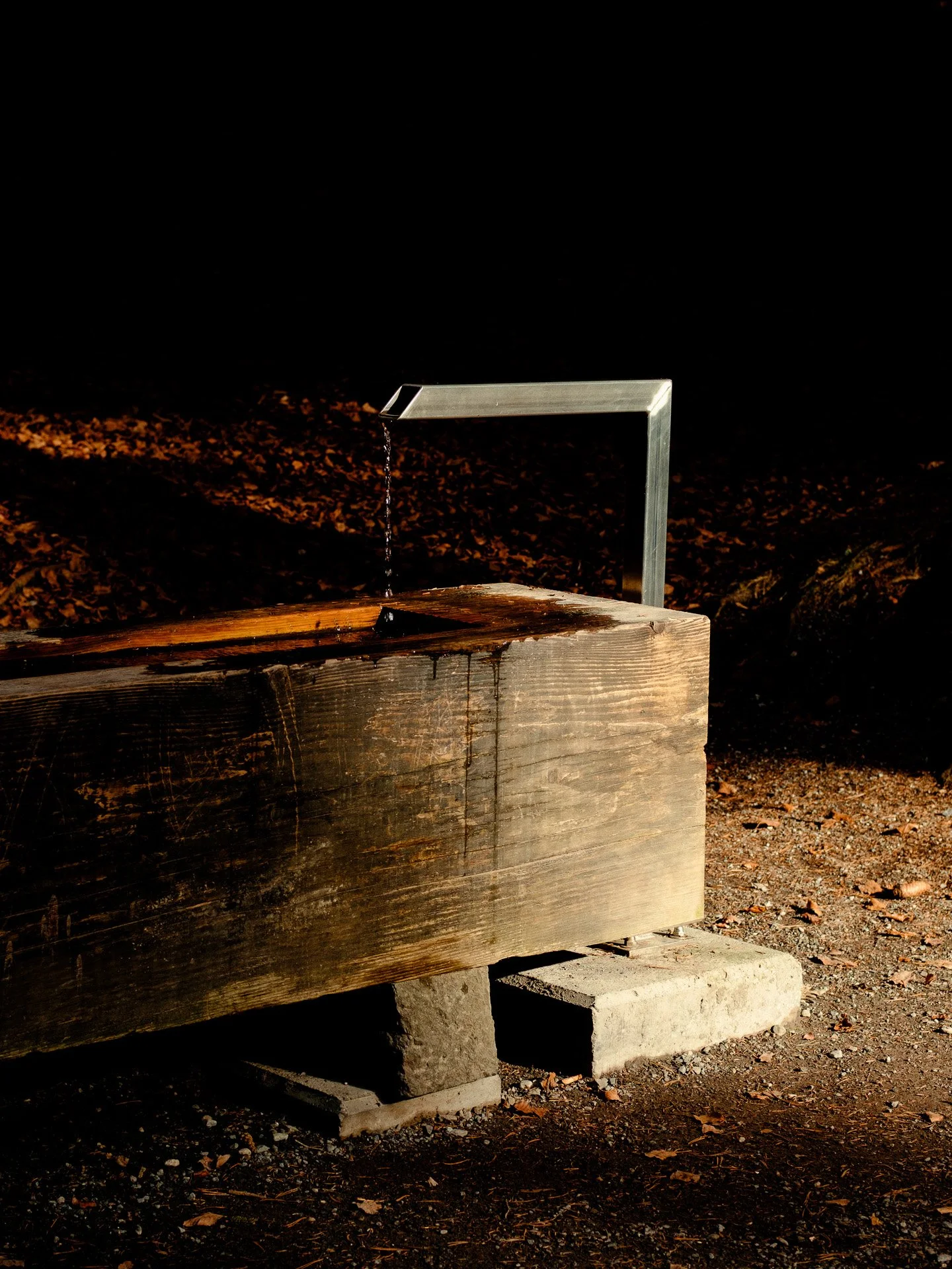 @jeffreyvonkphotos - 2026 - WEBSITE-178.JPG