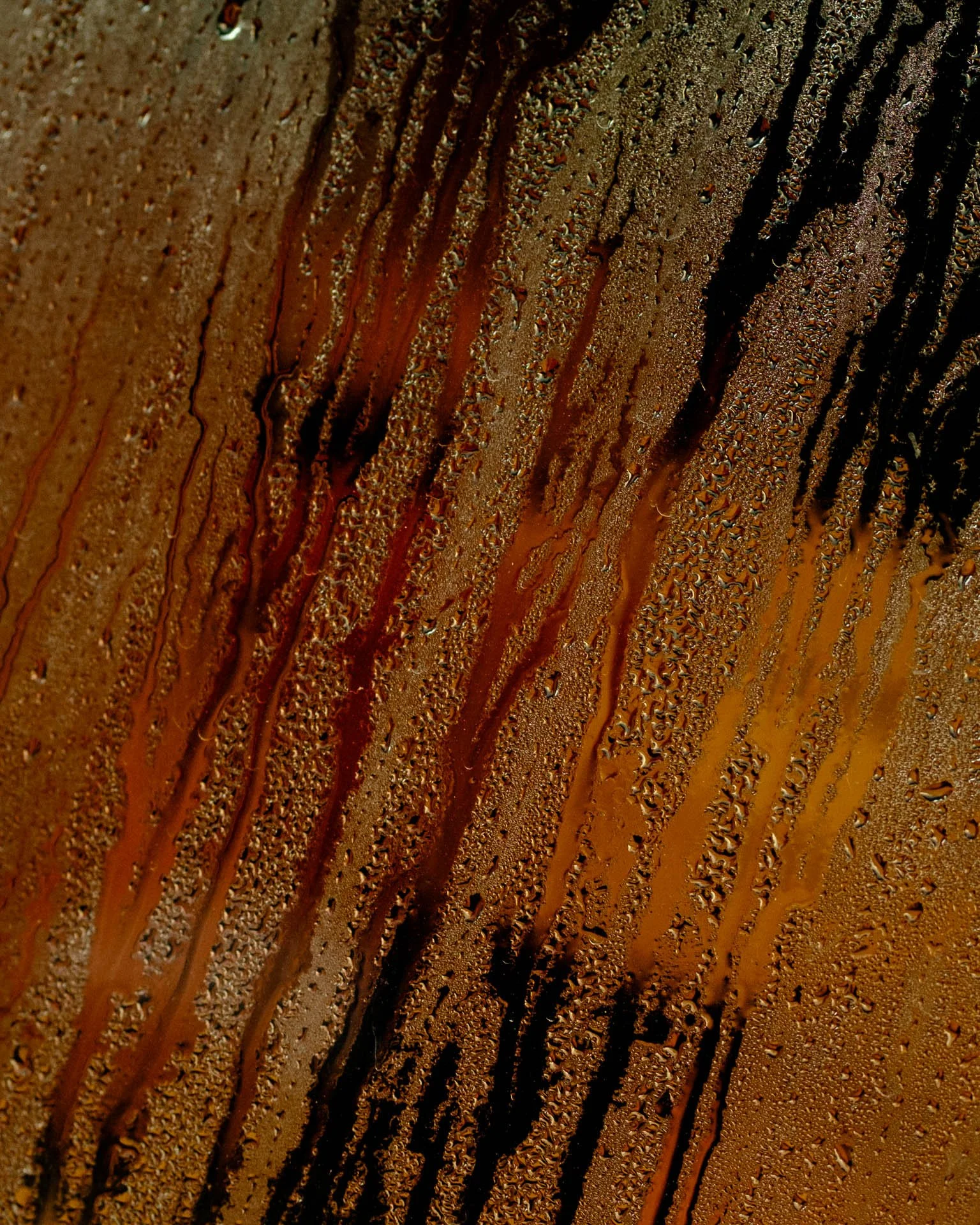 @jeffreyvonkphotos - 2026 - WEBSITE-81.JPG