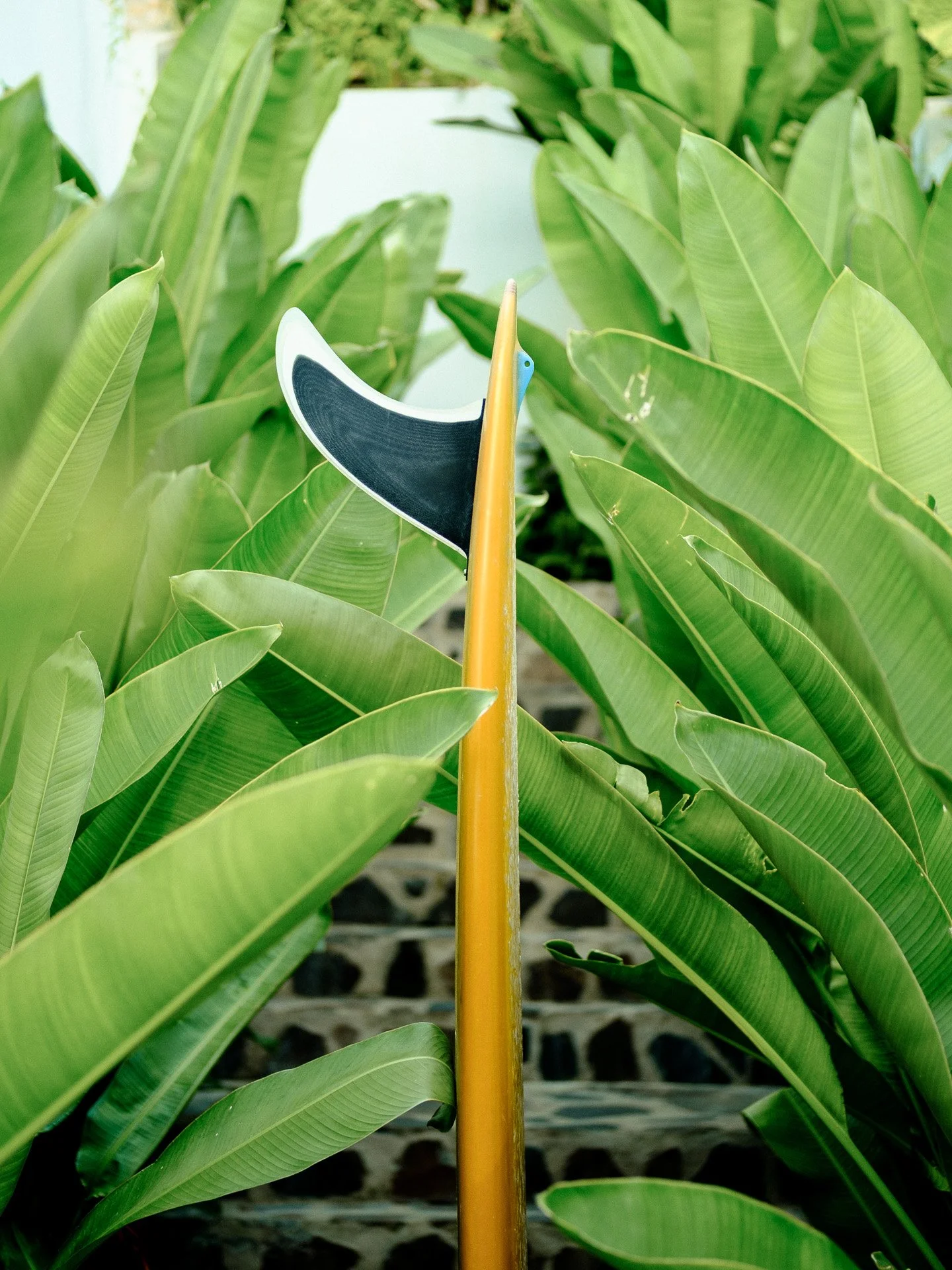 @jeffreyvonkphotos - 2026 - WEBSITE-163.JPG