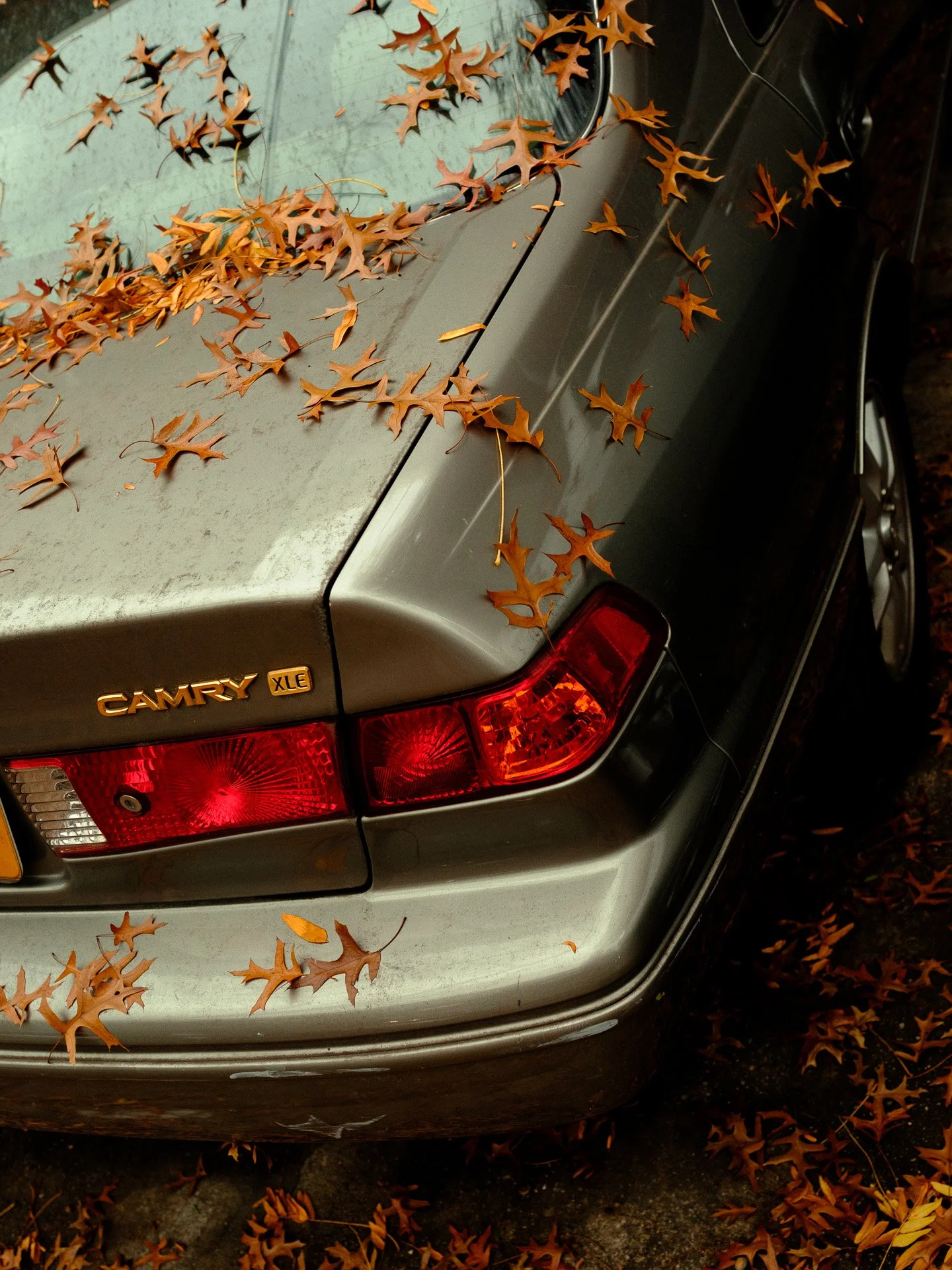 @jeffreyvonkphotos - 2026 - WEBSITE-316.JPG