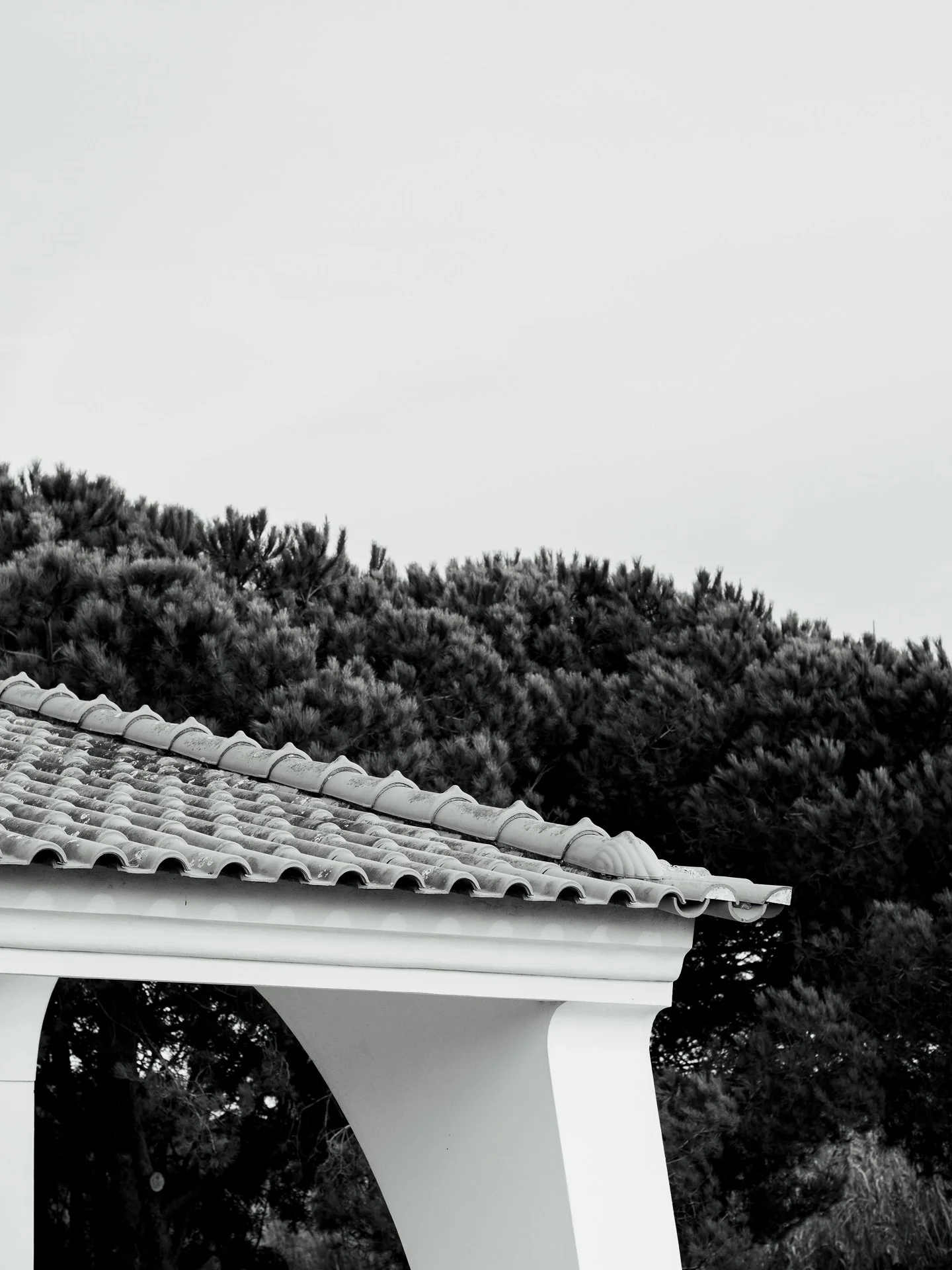 @jeffreyvonkphotos - 2026 - WEBSITE-126.JPG