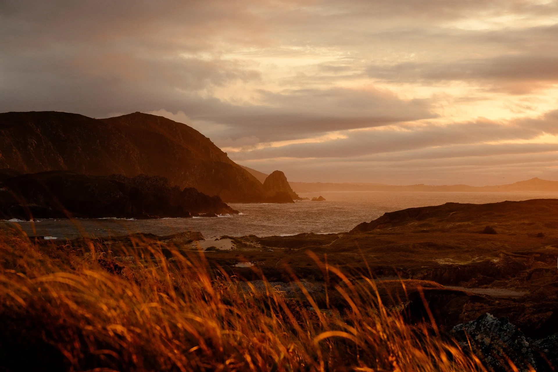 @jeffreyvonkphotos - 2026 - WEBSITE-214.JPG