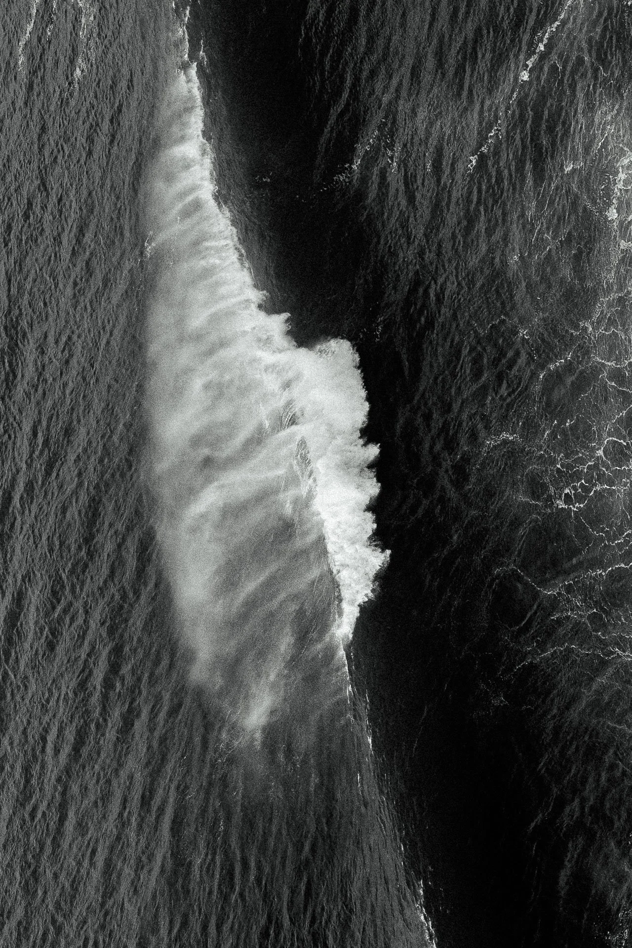 @jeffreyvonkphotos - 2026 - WEBSITE-7.JPG