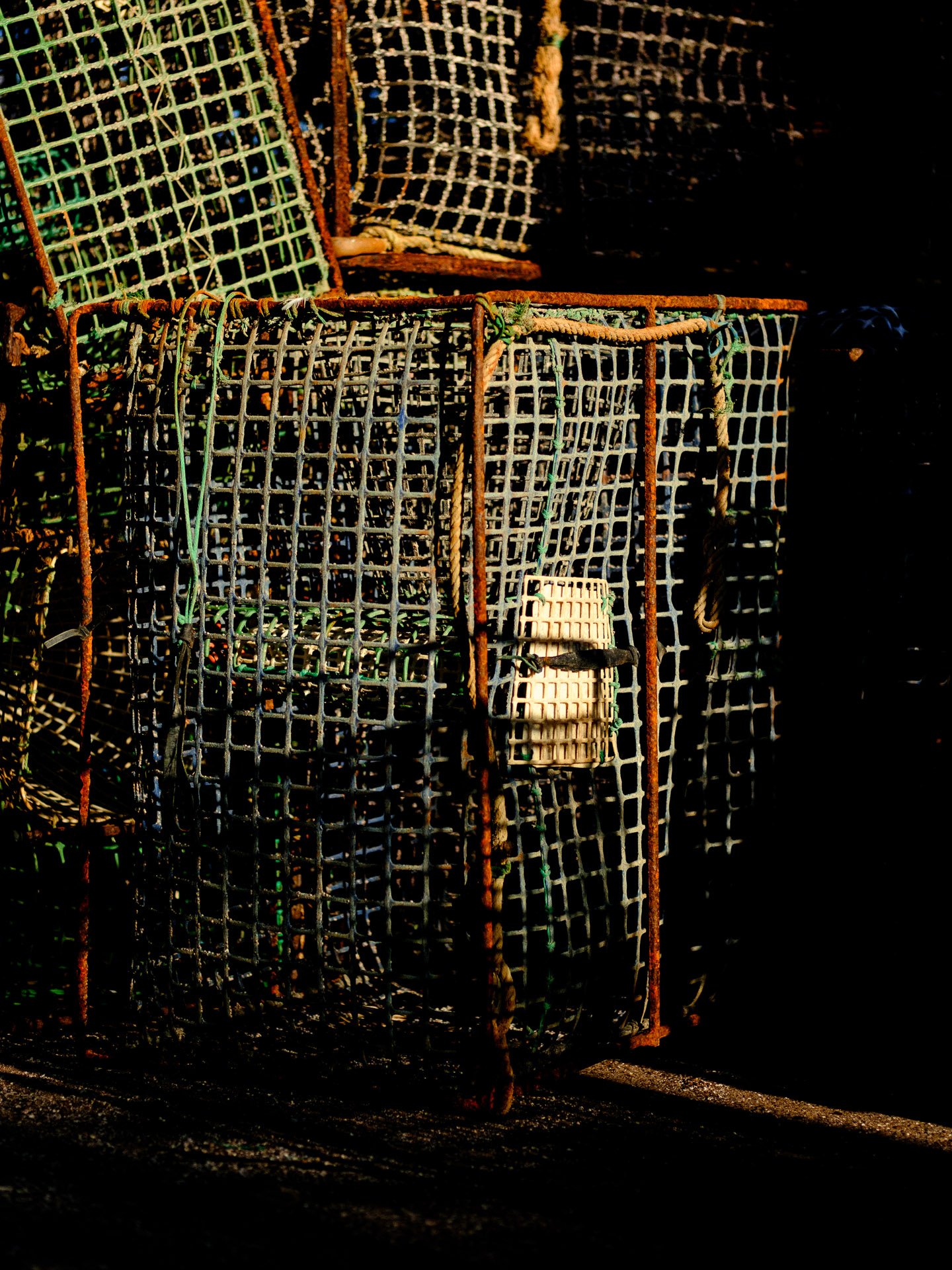 @jeffreyvonkphotos - 2026 - WEBSITE-80.JPG