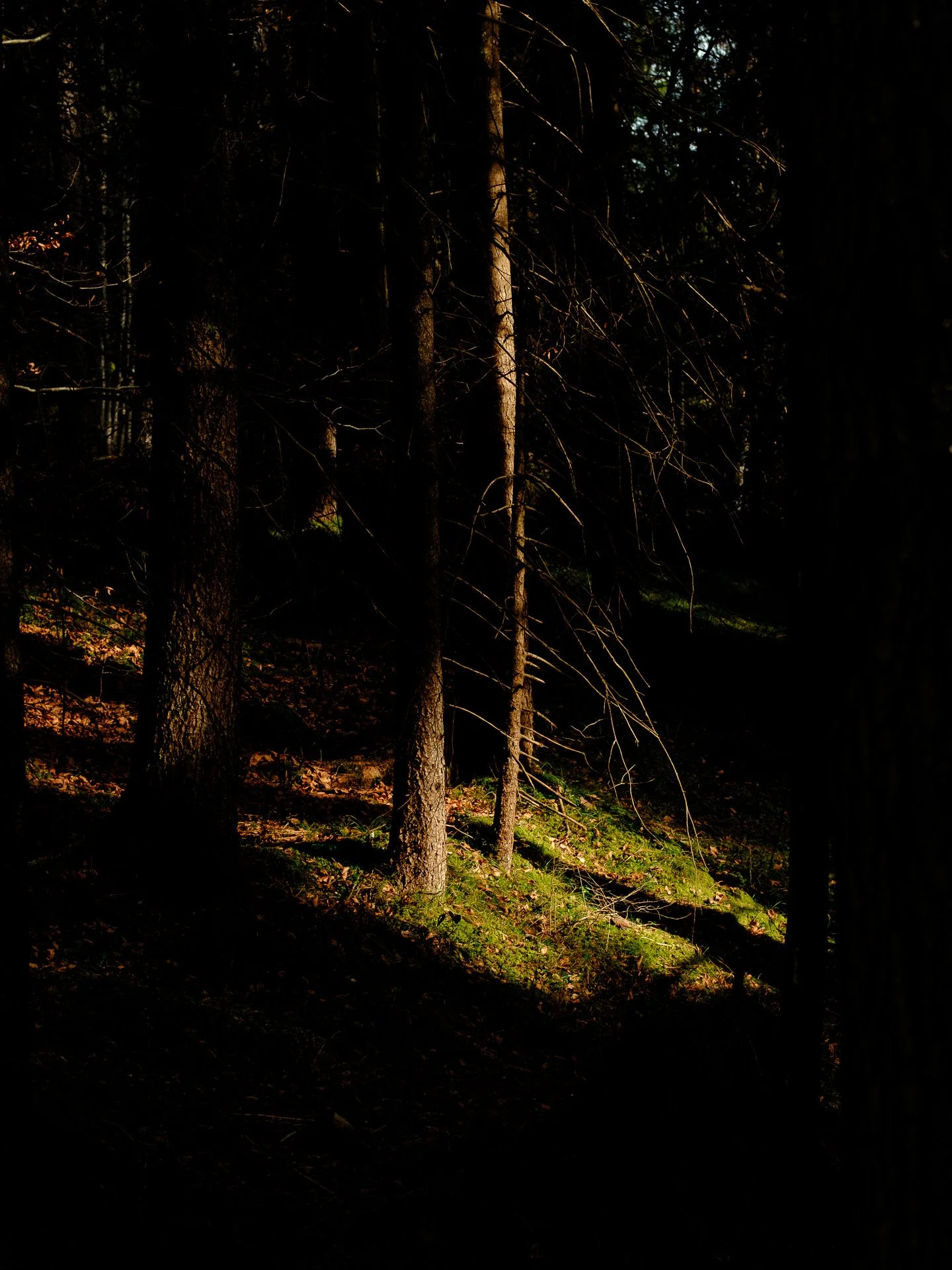 @jeffreyvonkphotos - 2026 - WEBSITE-180.JPG