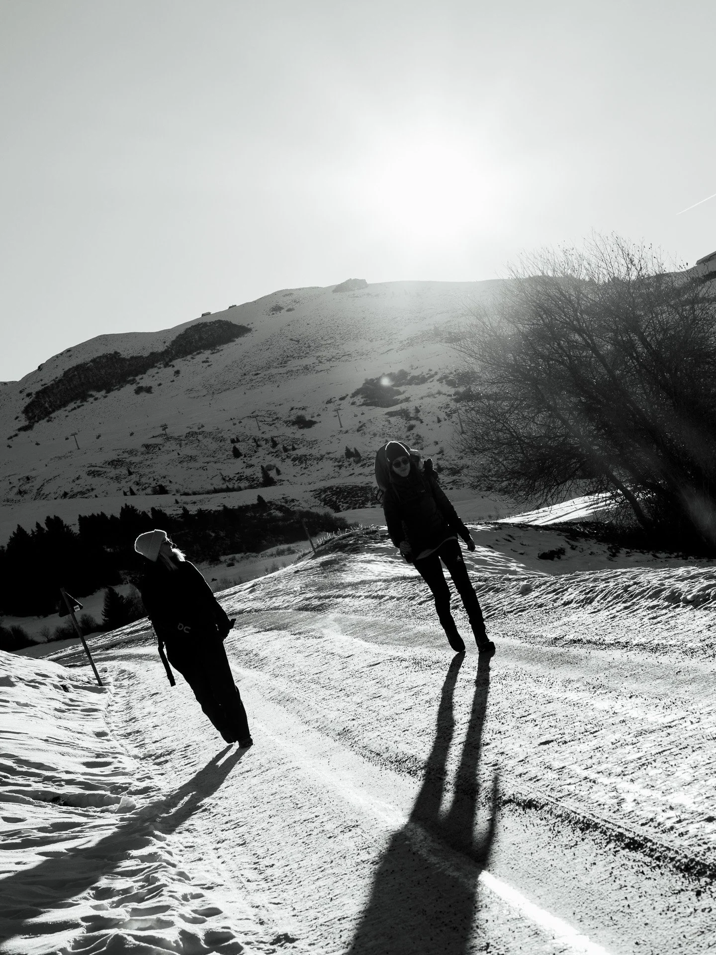 @jeffreyvonkphotos - 2026 - WEBSITE-332.JPG