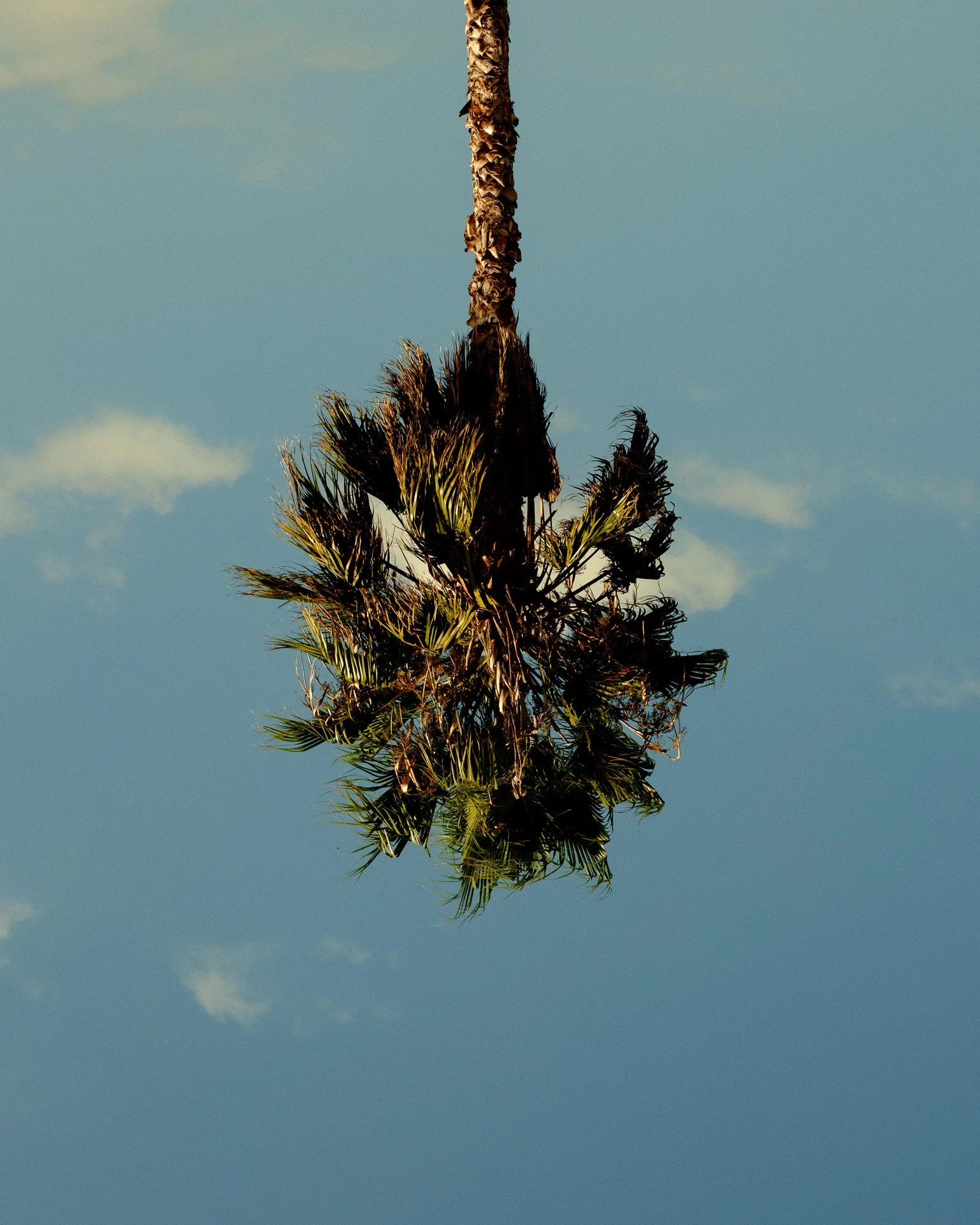 @jeffreyvonkphotos - 2026 - WEBSITE-201.JPG