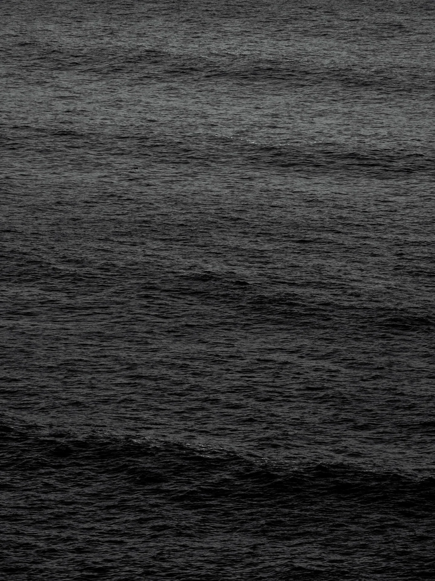 @jeffreyvonkphotos - 2026 - WEBSITE-5.JPG