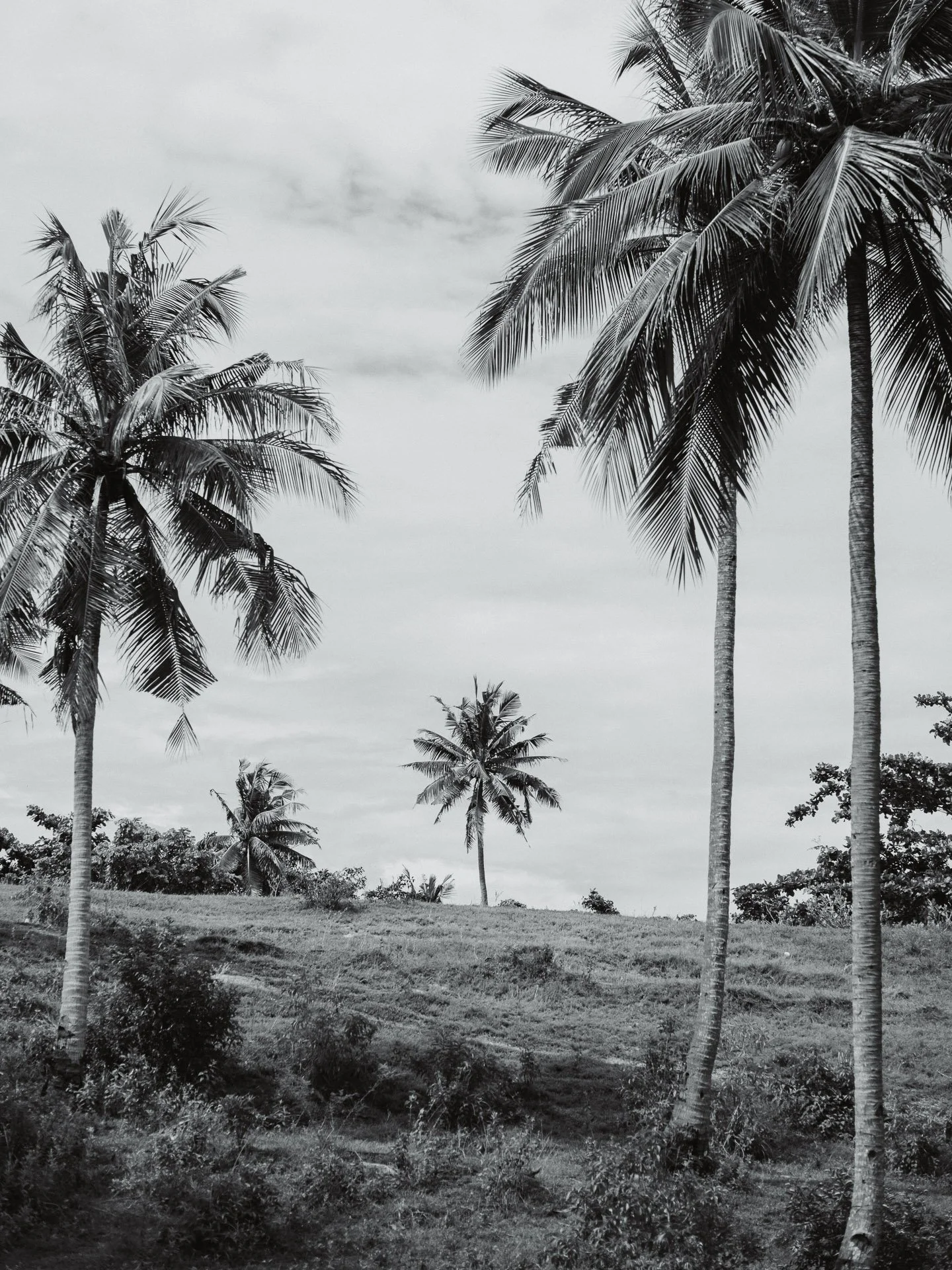 @jeffreyvonkphotos - 2026 - WEBSITE-24.JPG