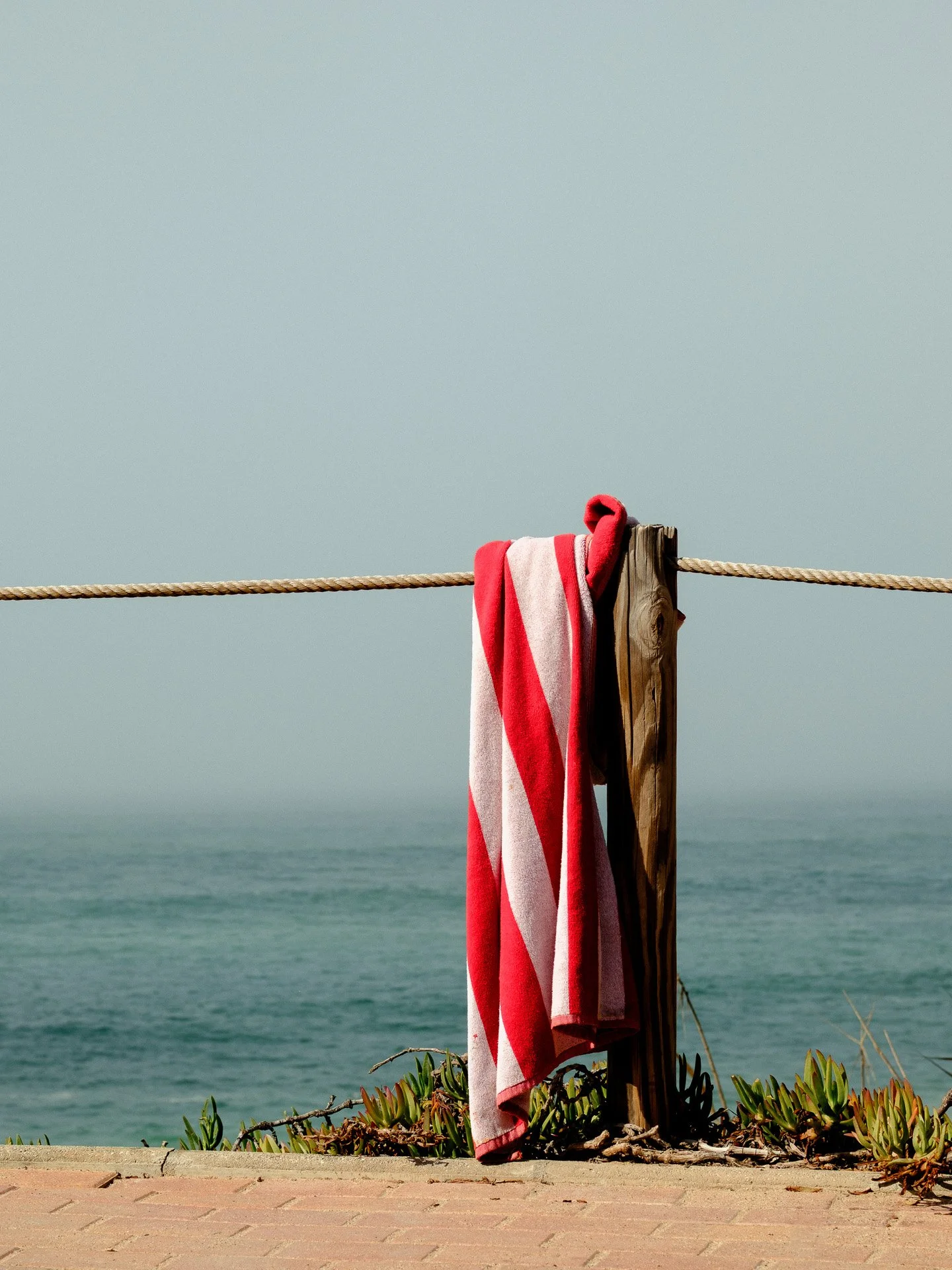 @jeffreyvonkphotos - 2026 - WEBSITE-221.JPG