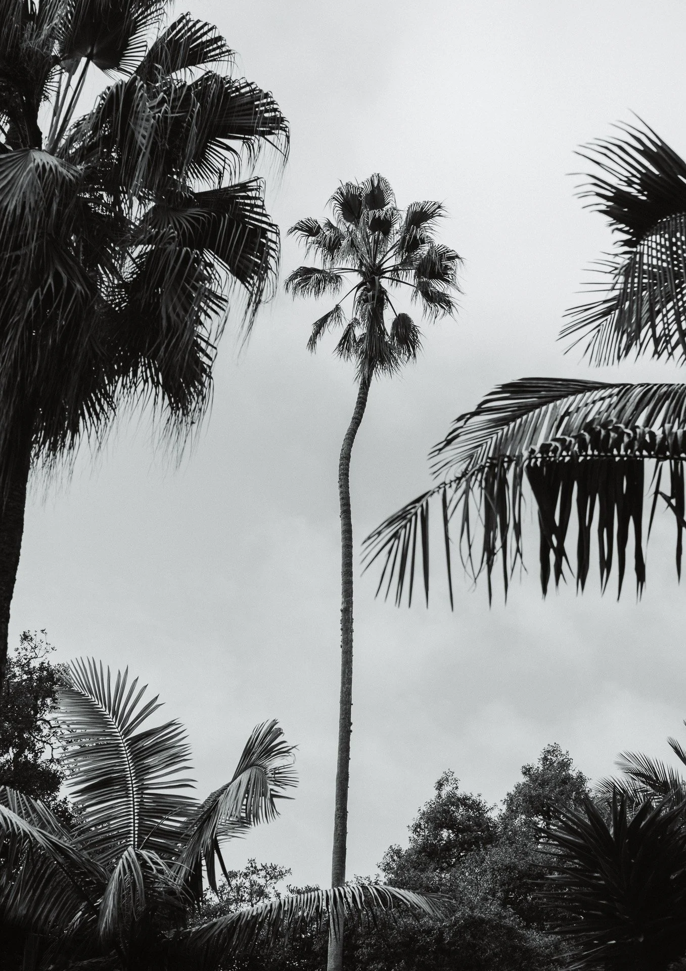 @jeffreyvonkphotos - 2026 - WEBSITE-65.JPG