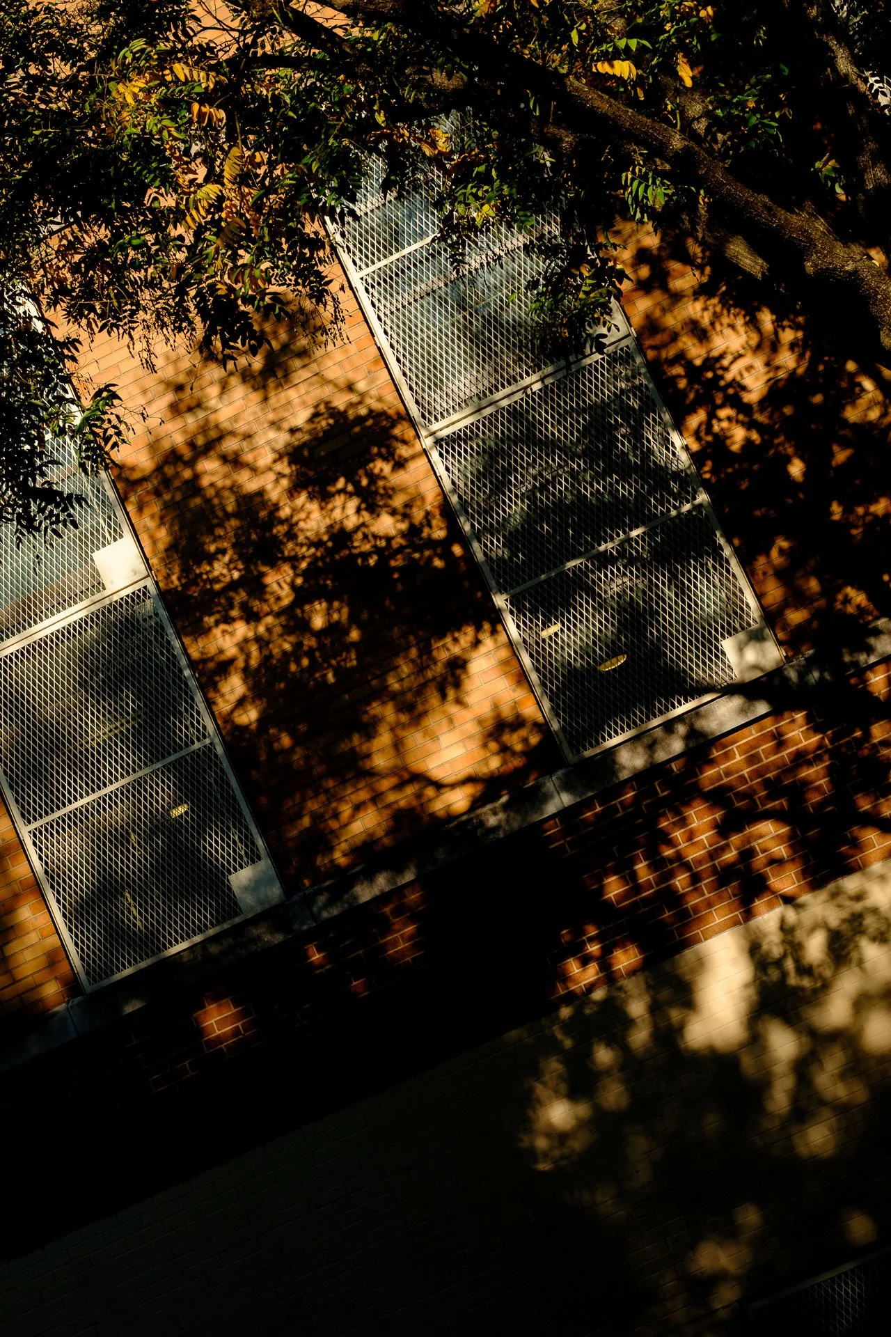 @jeffreyvonkphotos - 2026 - WEBSITE-294.JPG