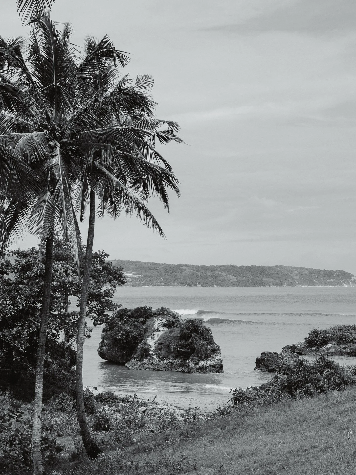 @jeffreyvonkphotos - 2026 - WEBSITE-22.JPG