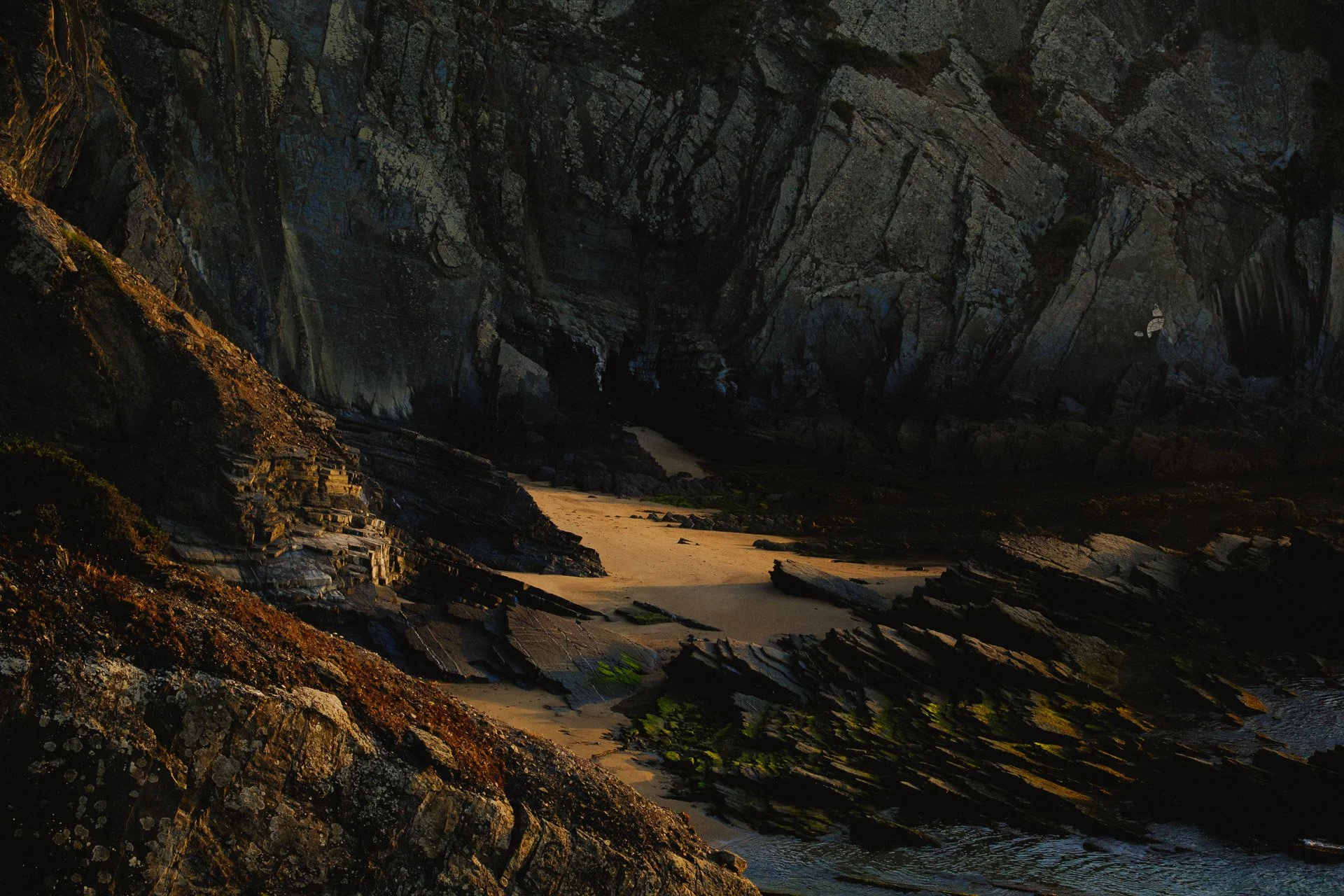 @jeffreyvonkphotos - 2026 - WEBSITE-79.JPG