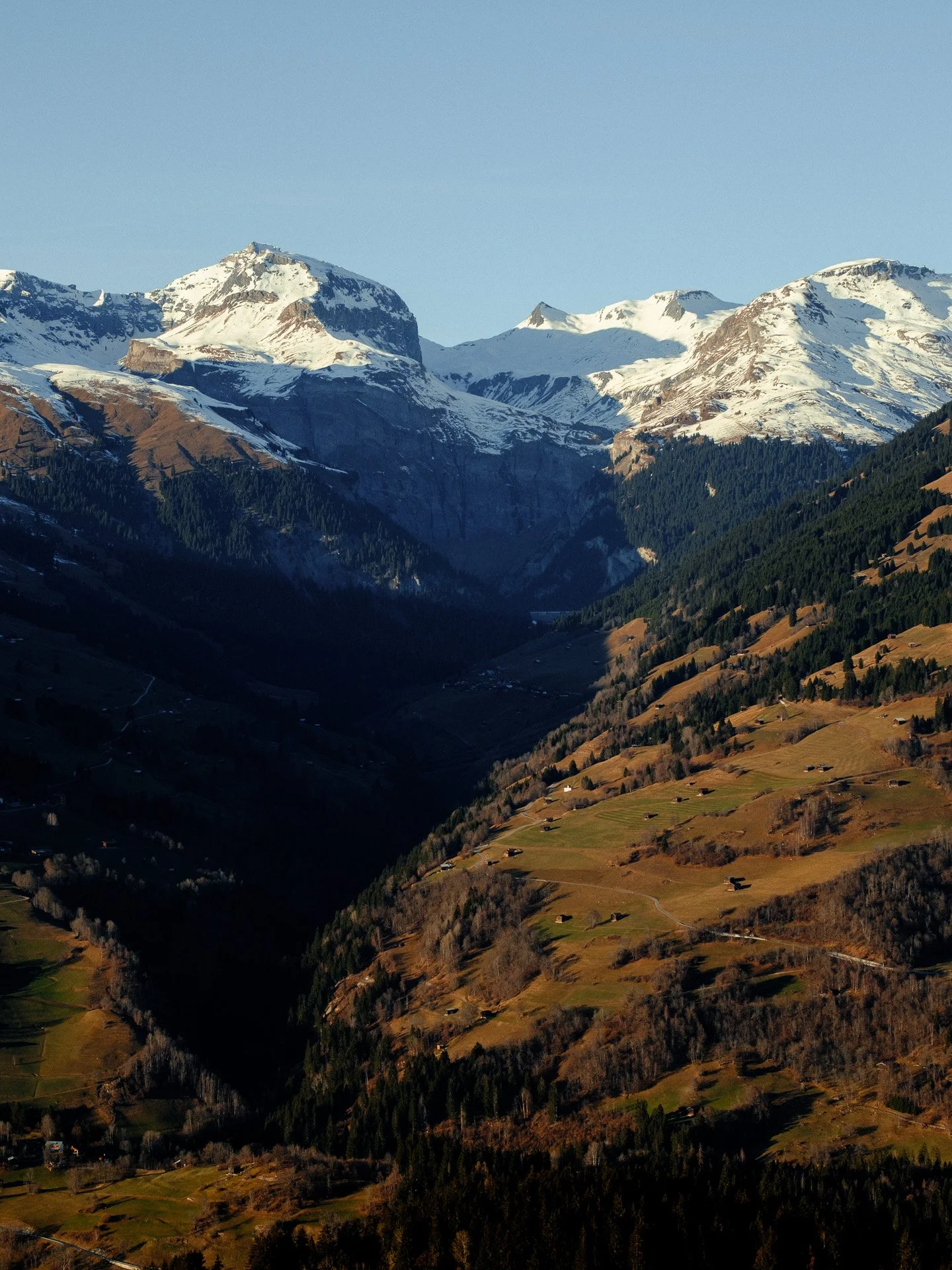 @jeffreyvonkphotos - 2026 - WEBSITE-333.JPG