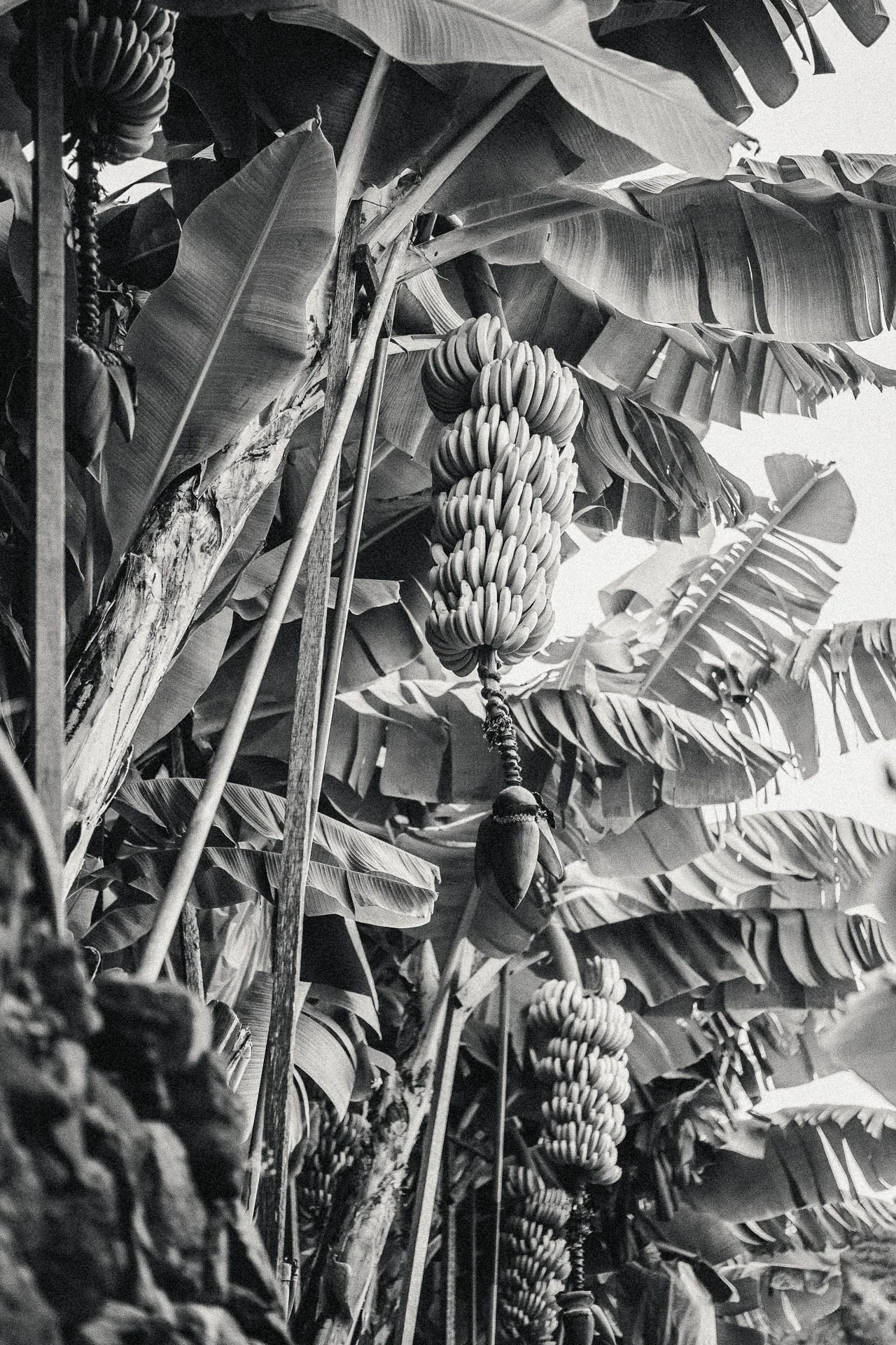 @jeffreyvonkphotos - 2026 - WEBSITE.JPG