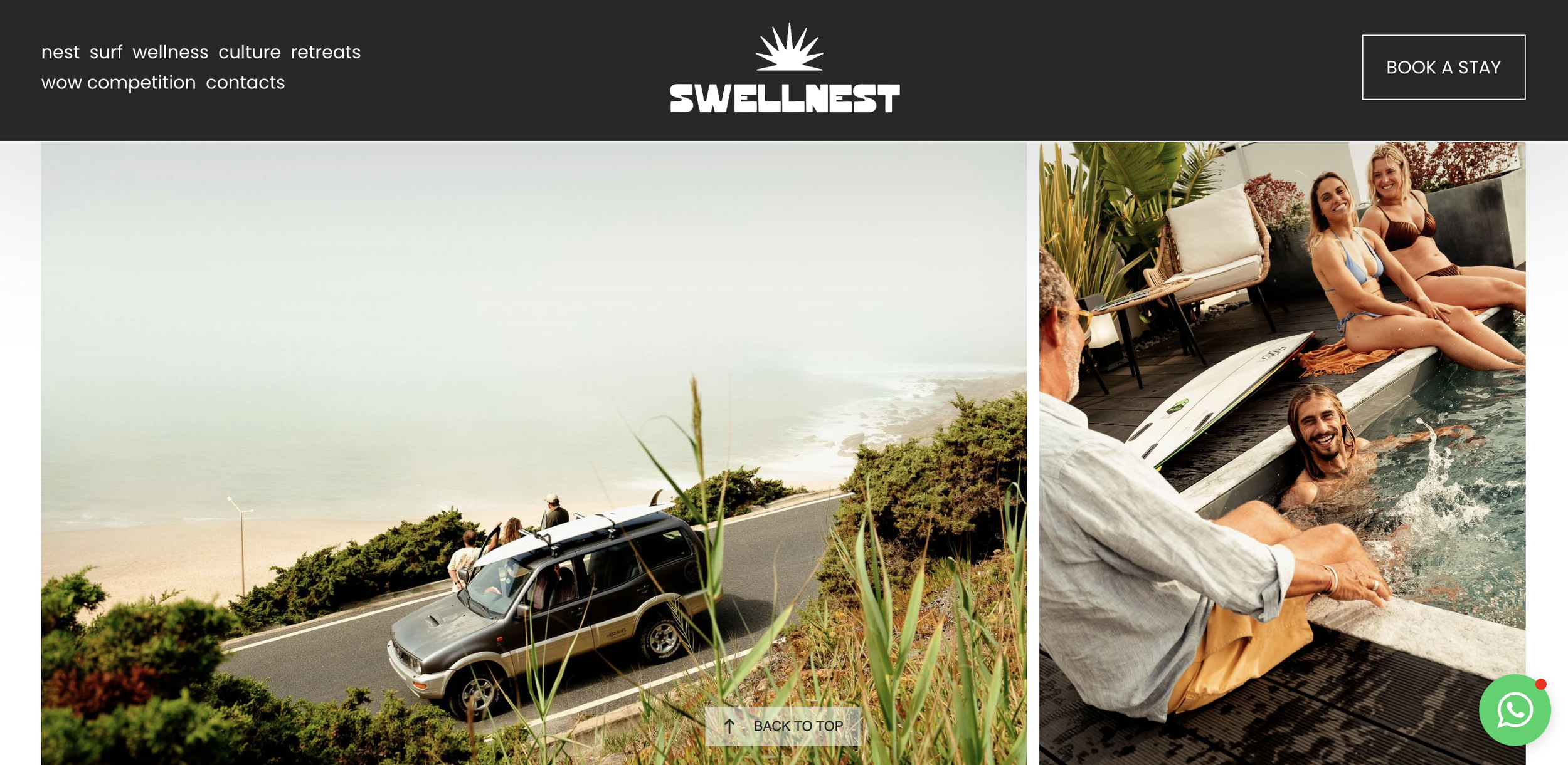 visual-application-brand-mockup-swellnest-1.png