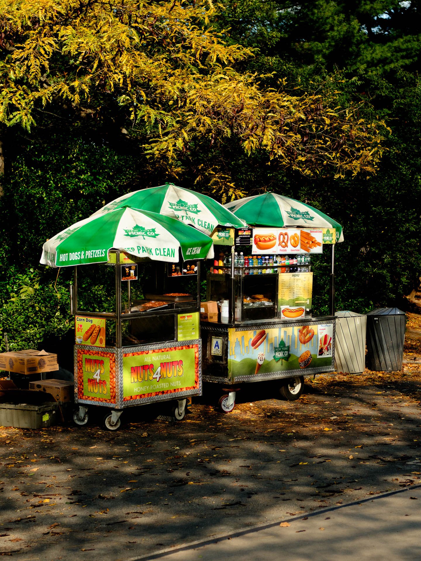 nyc-central-park-life-2.JPG