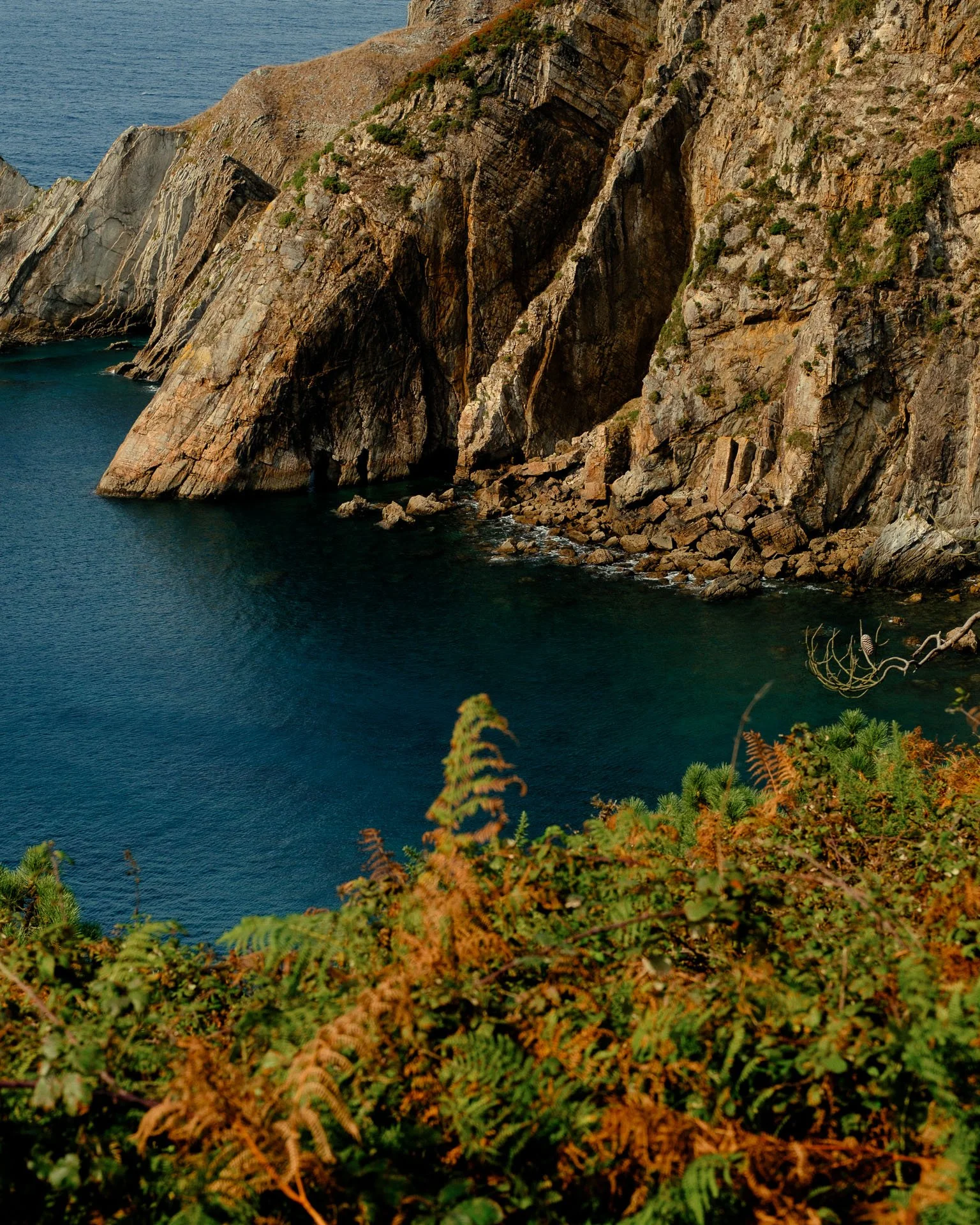 @jeffreyvonkphotos - 2026 - WEBSITE-204.JPG