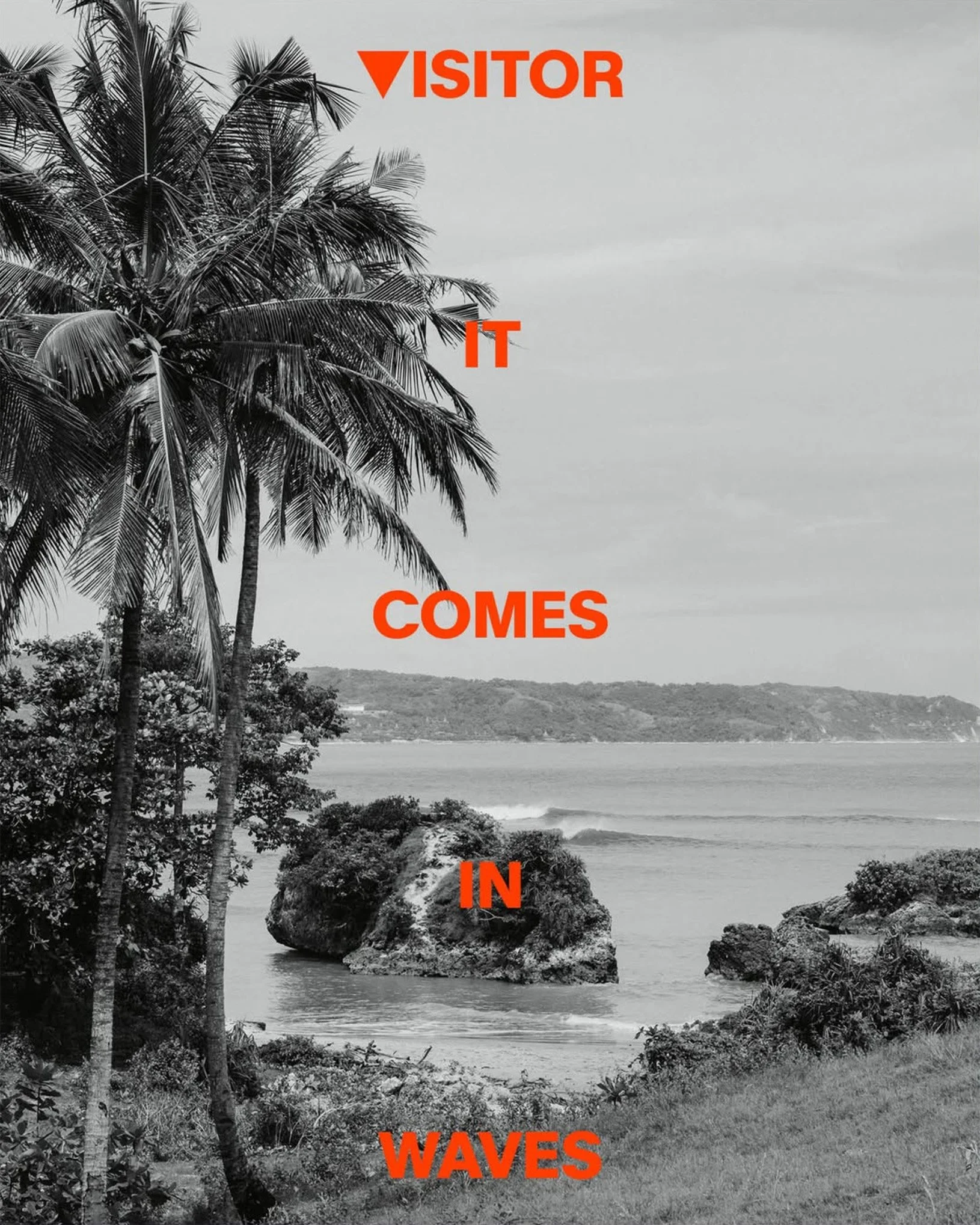 Copy Visitor - 10.jpg