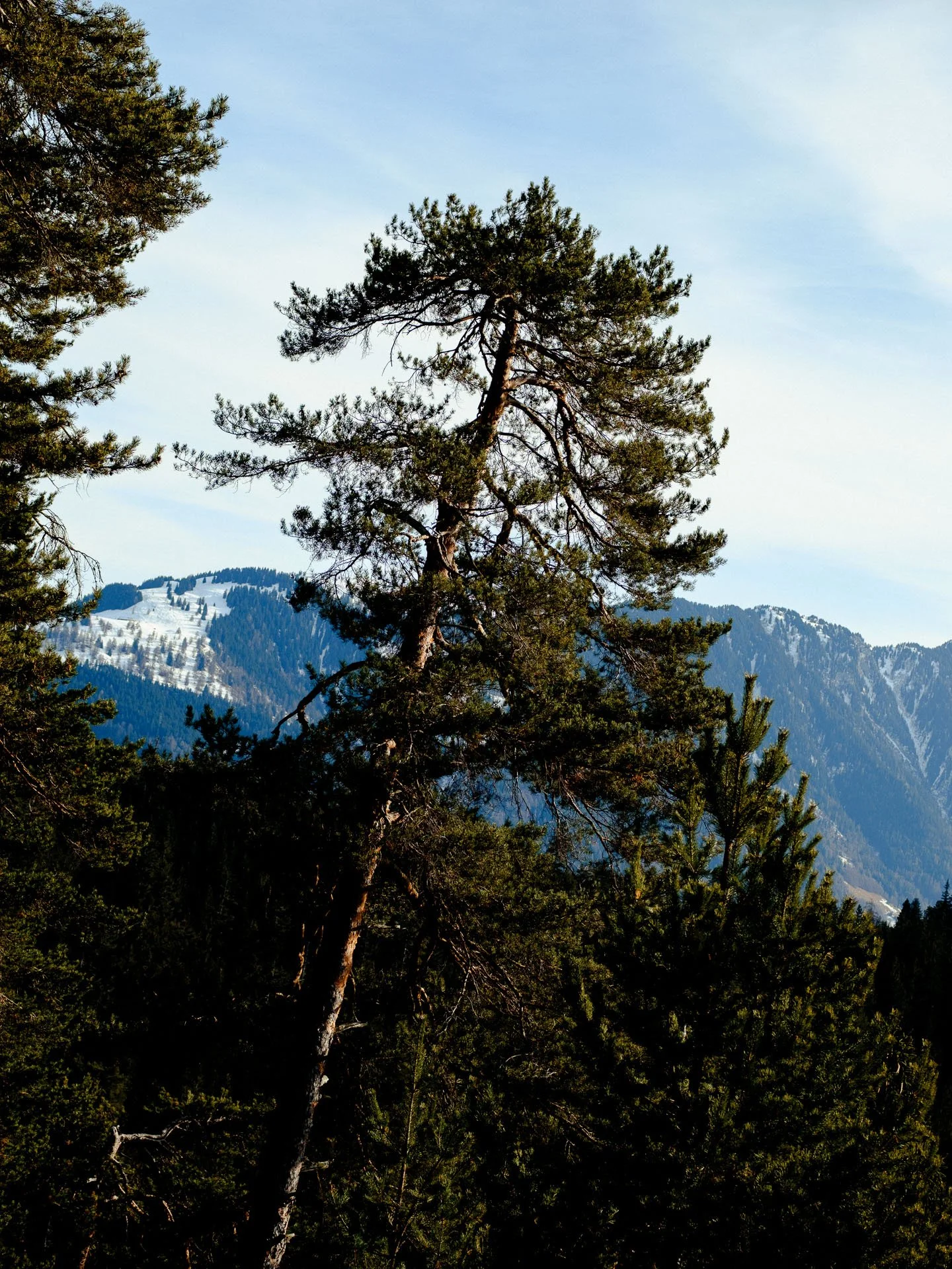 @jeffreyvonkphotos - 2026 - WEBSITE-186.JPG