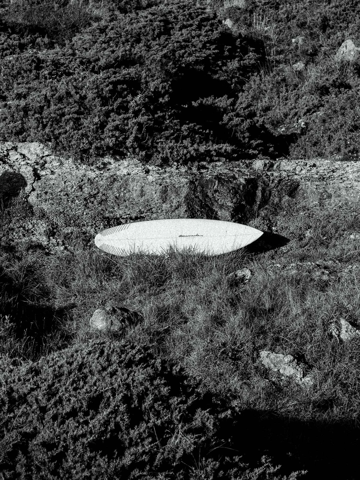 @jeffreyvonkphotos - 2026 - WEBSITE-176.JPG