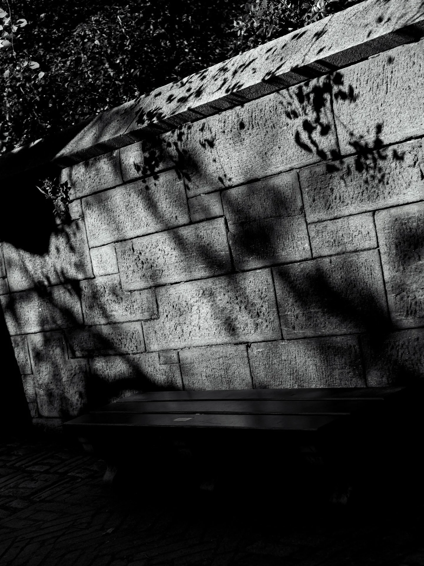 @jeffreyvonkphotos - 2026 - WEBSITE-259.JPG