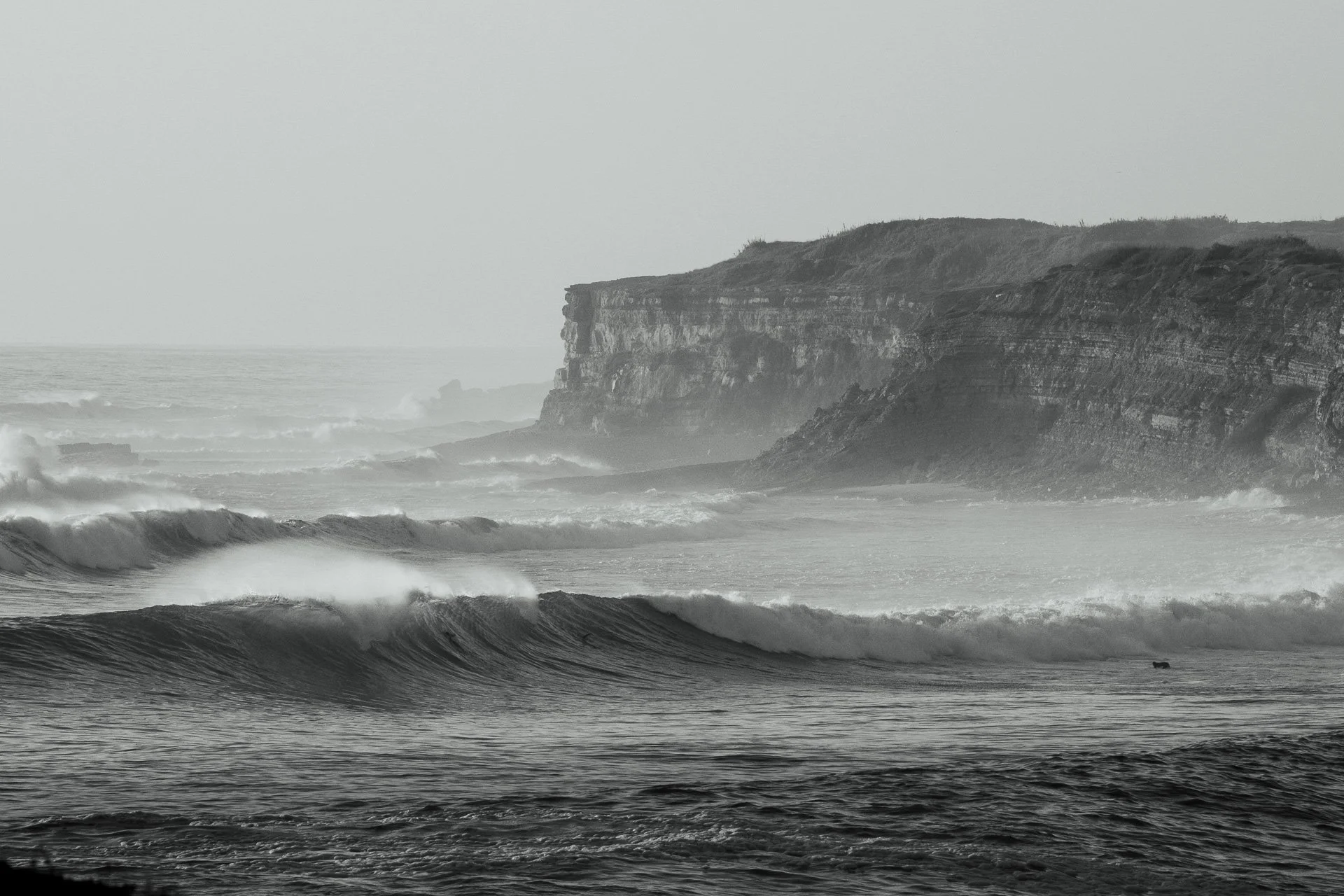 @jeffreyvonkphotos - 2026 - WEBSITE-16.JPG