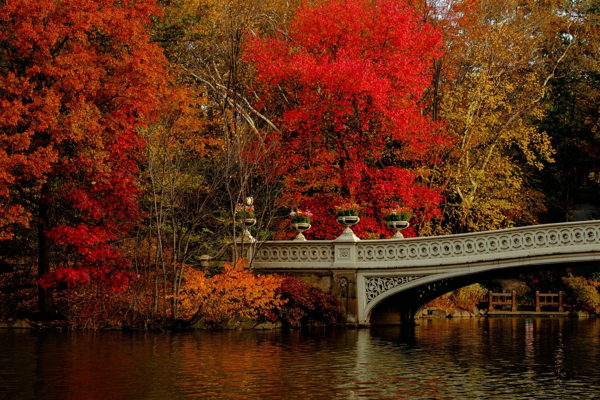 nyc-central-park-life-4.JPG