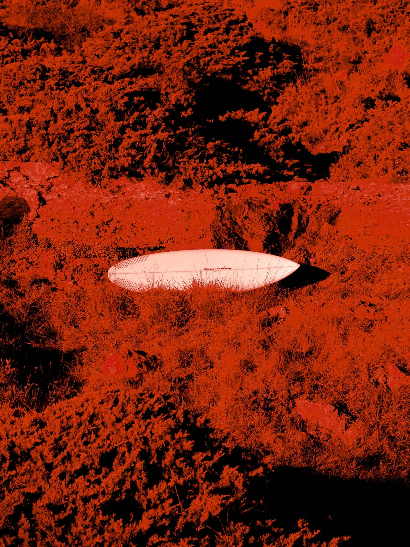 @jeffreyvonkphotos - 2026 - WEBSITE-177.JPG