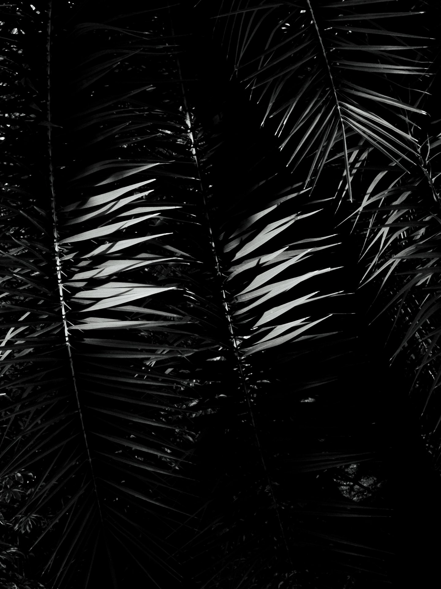 @jeffreyvonkphotos - 2026 - WEBSITE-216.JPG