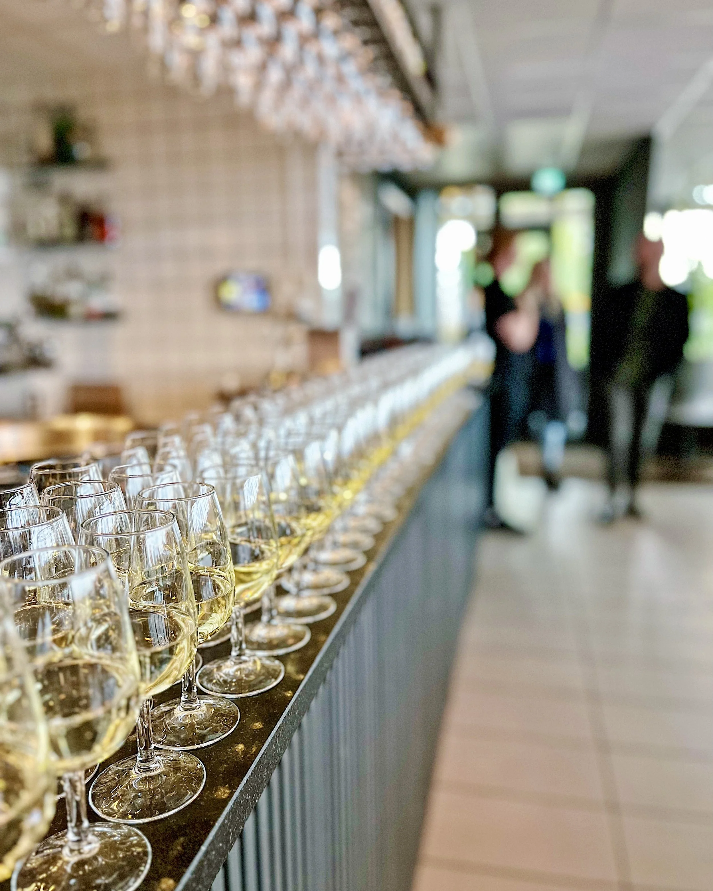 Fredagsvin · SYDAFRIKA