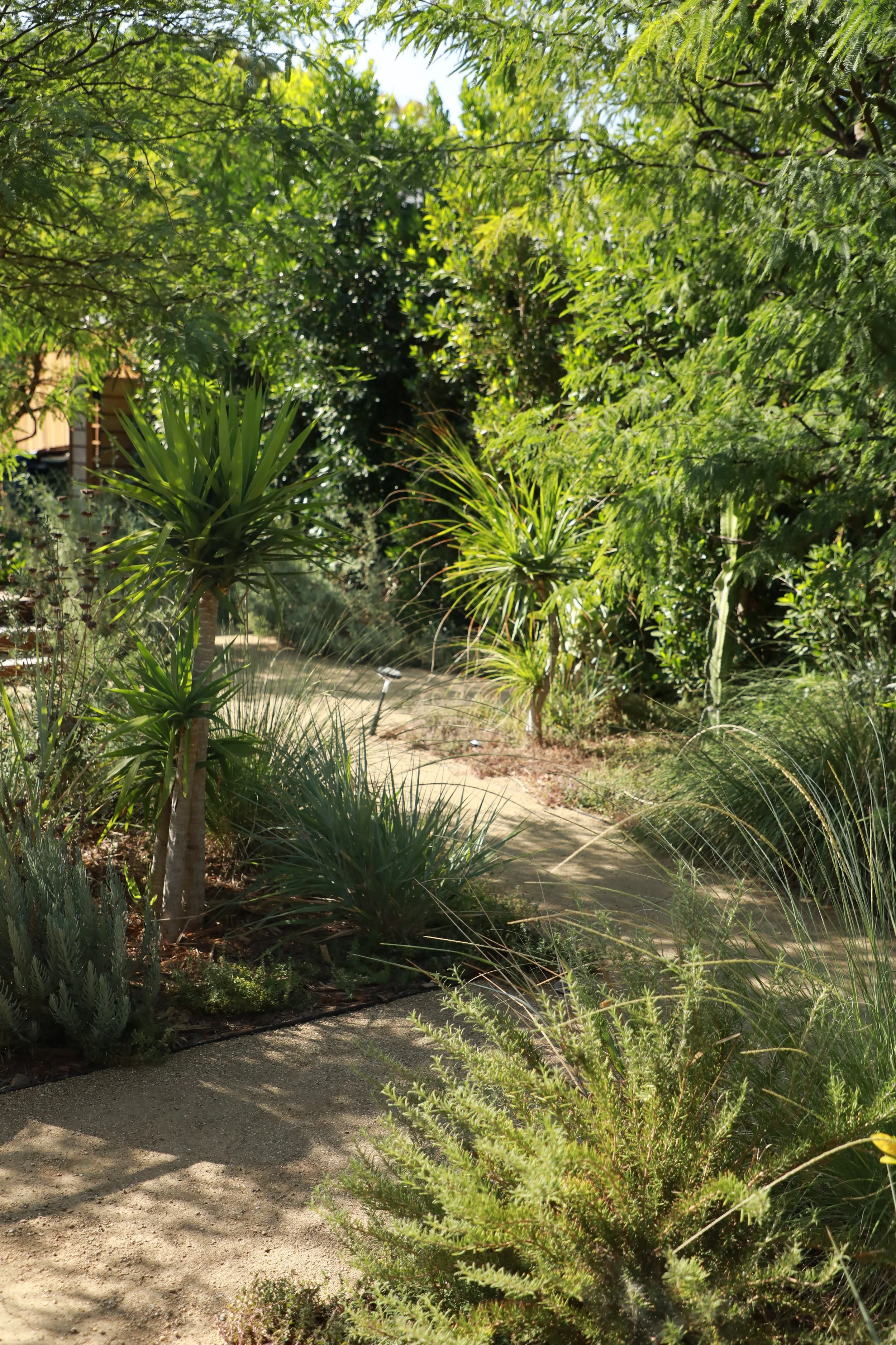 Highland Park “Aromatic”