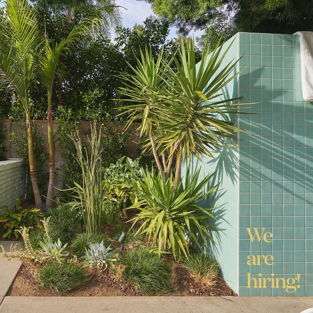 Nectar is looking for a new team member! Are you passionate about gardens, ecology, California native plants, and working with people to create their dream spaces to connect with nature? Are you someone who wants to be a part of a small office where 