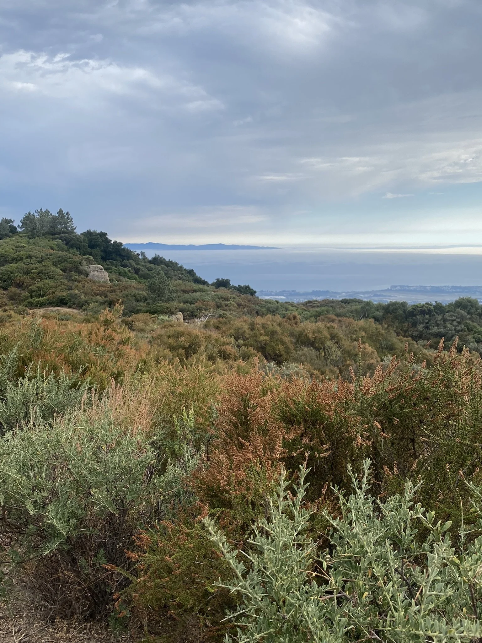 Santa Barbara Favorites