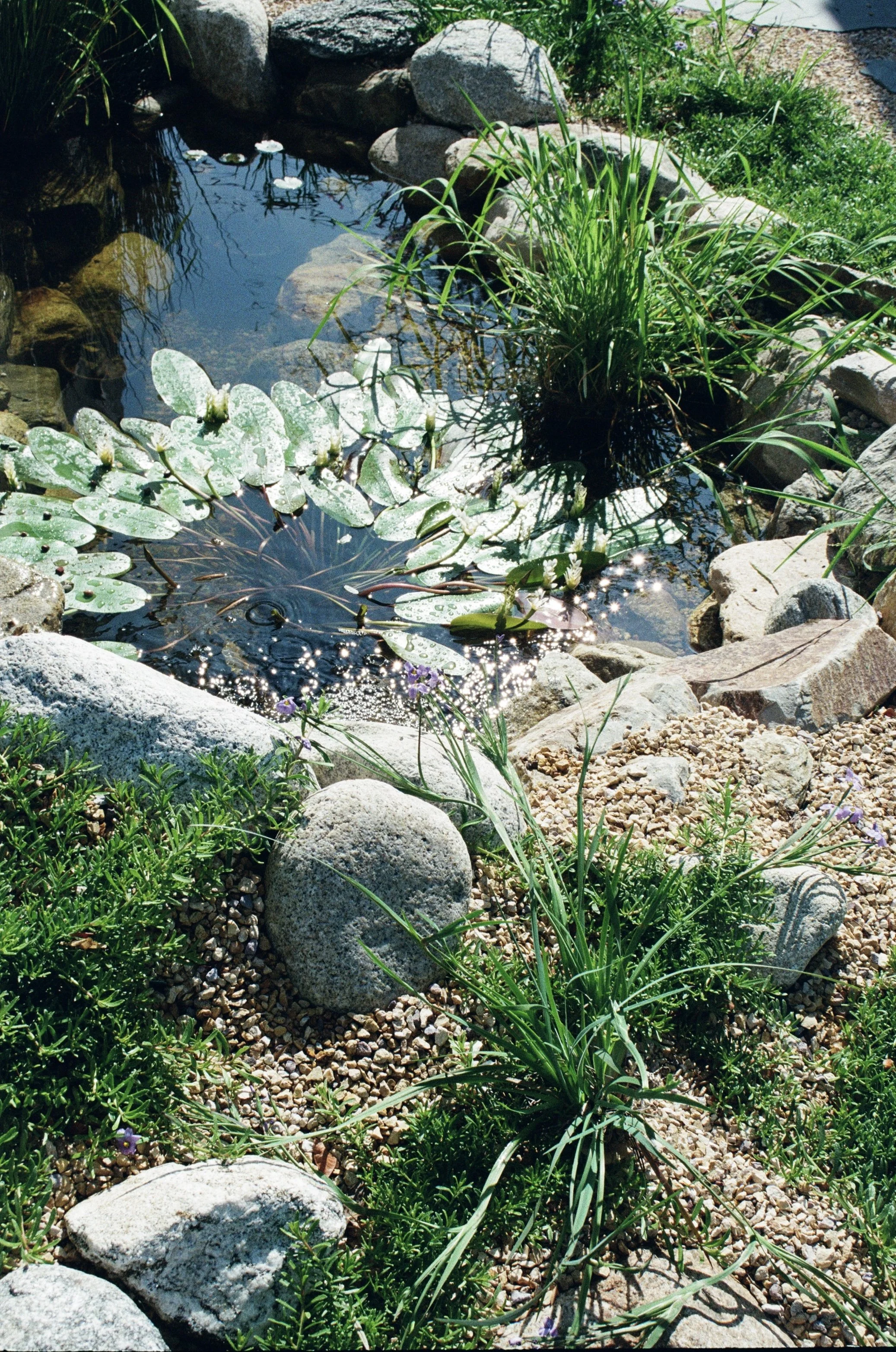 Water Catchment Tips 