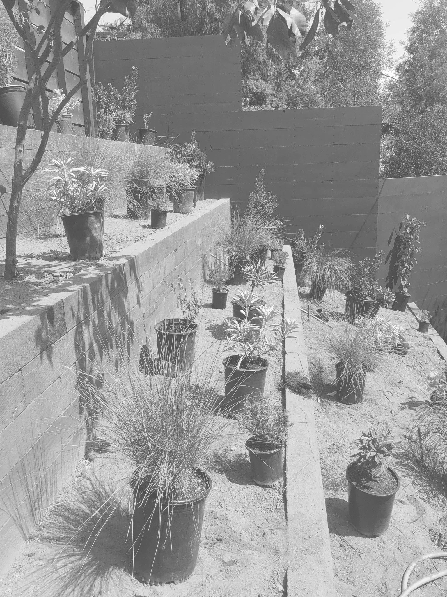 Echo Park Avenue “Romance” — Nectar