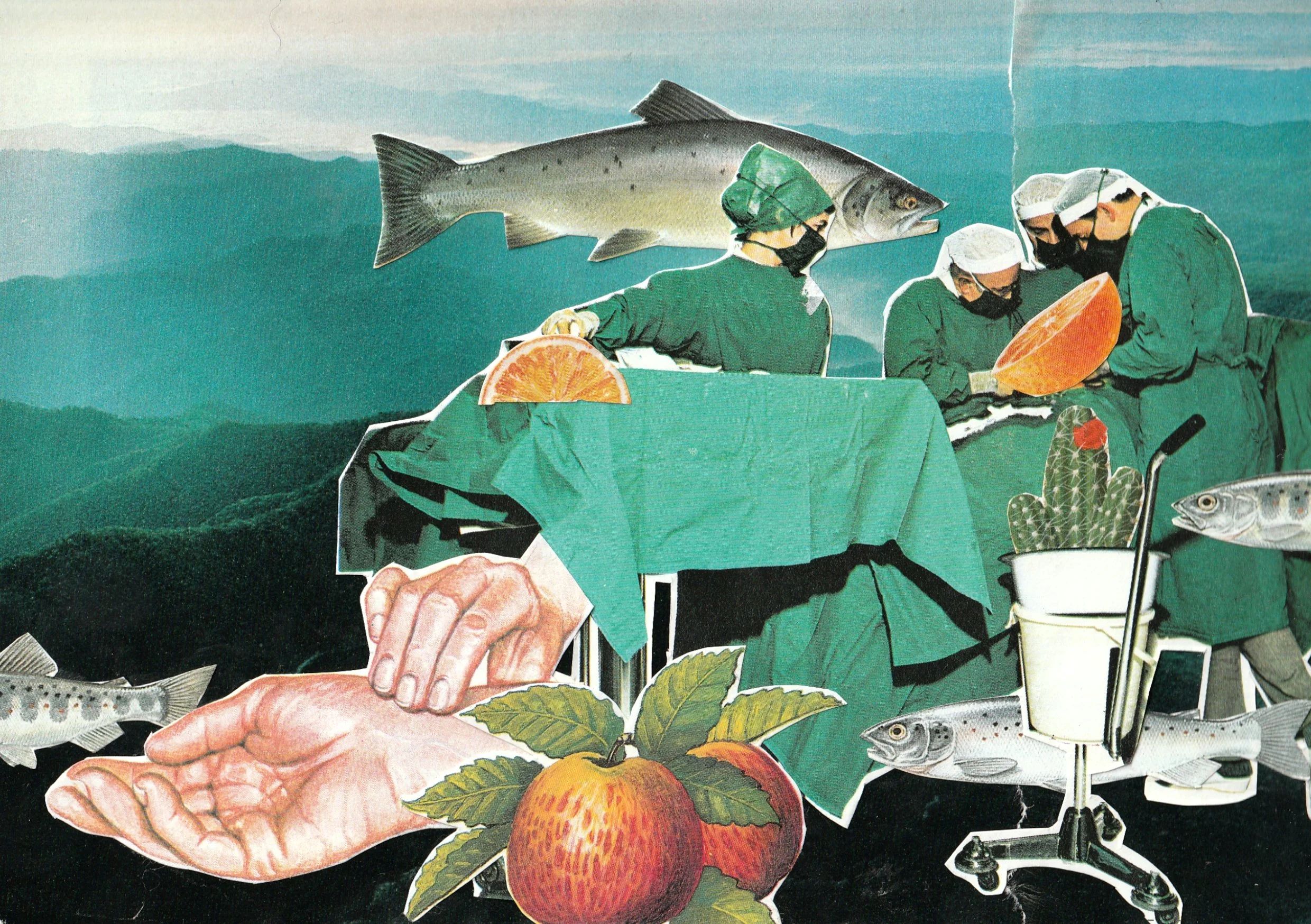 cutting.fruitA5.jpg