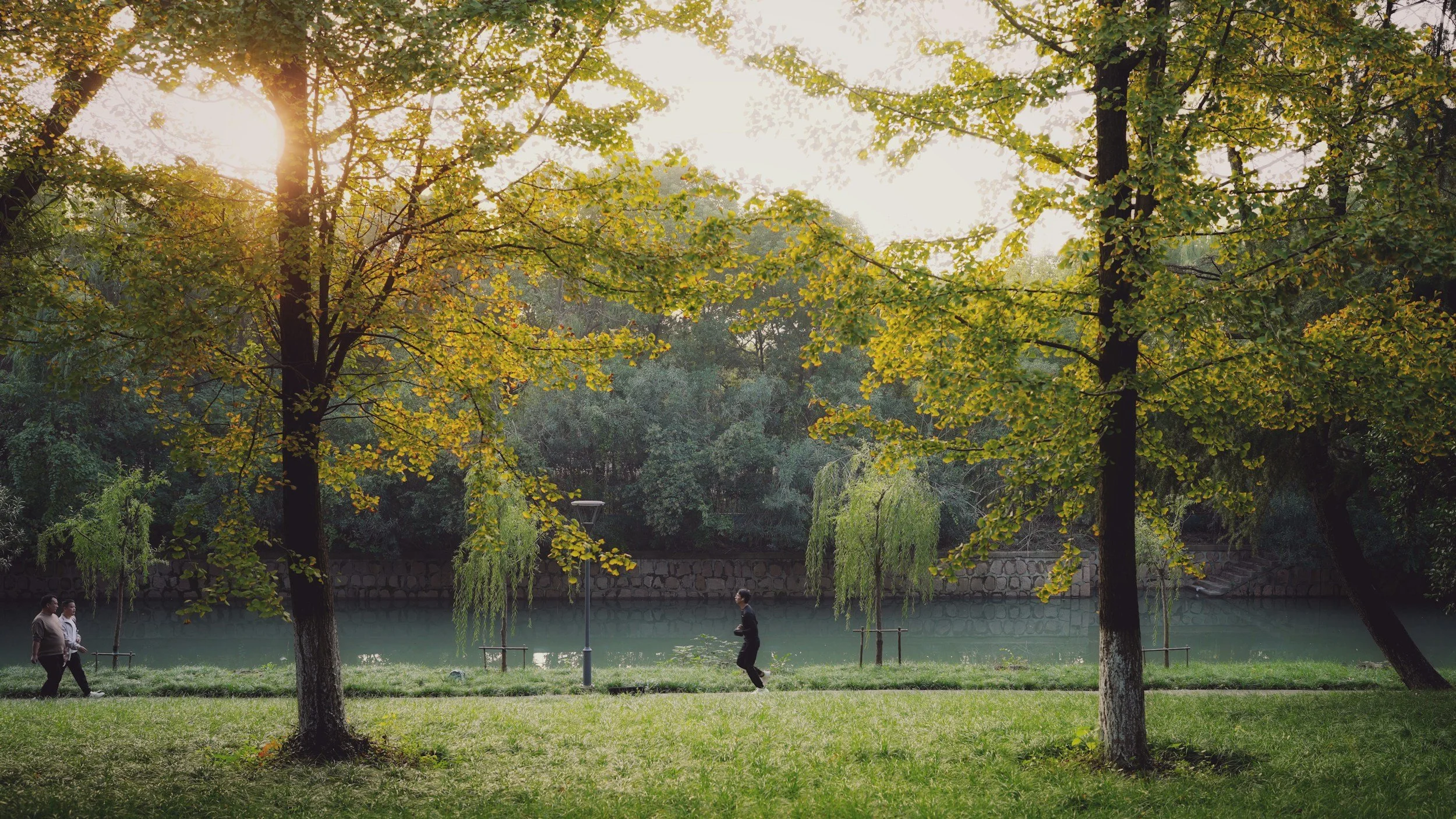 Three people walking along rive with sun shining through the trees