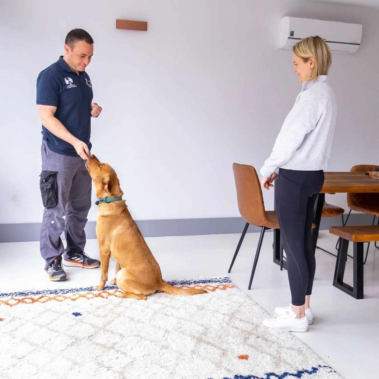 Paul Lasky assessment Yellow Labrador with owner watching