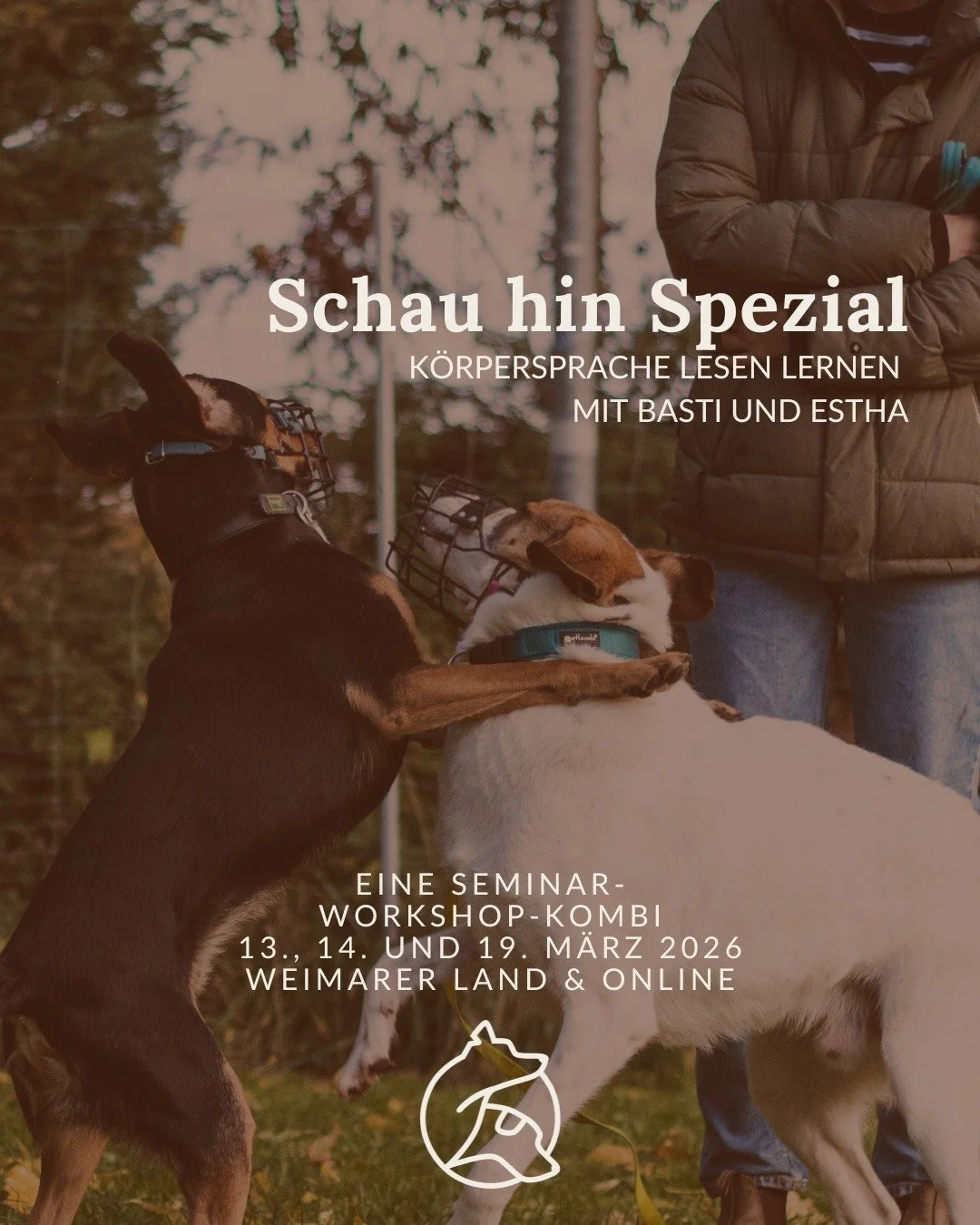 Das Schau hin Spezial war im vergangenen Jahr unglaublich beliebt - nicht nur bei uns Rumtreibern, sondern auch bei unseren Kund*innen. 
Bist du auch dabei? 🔥

K&Ouml;RPERSPRACHE
HUNDEKOMMUNIKATION
SOZIALVERHALTEN
SOZIALISIERUNG